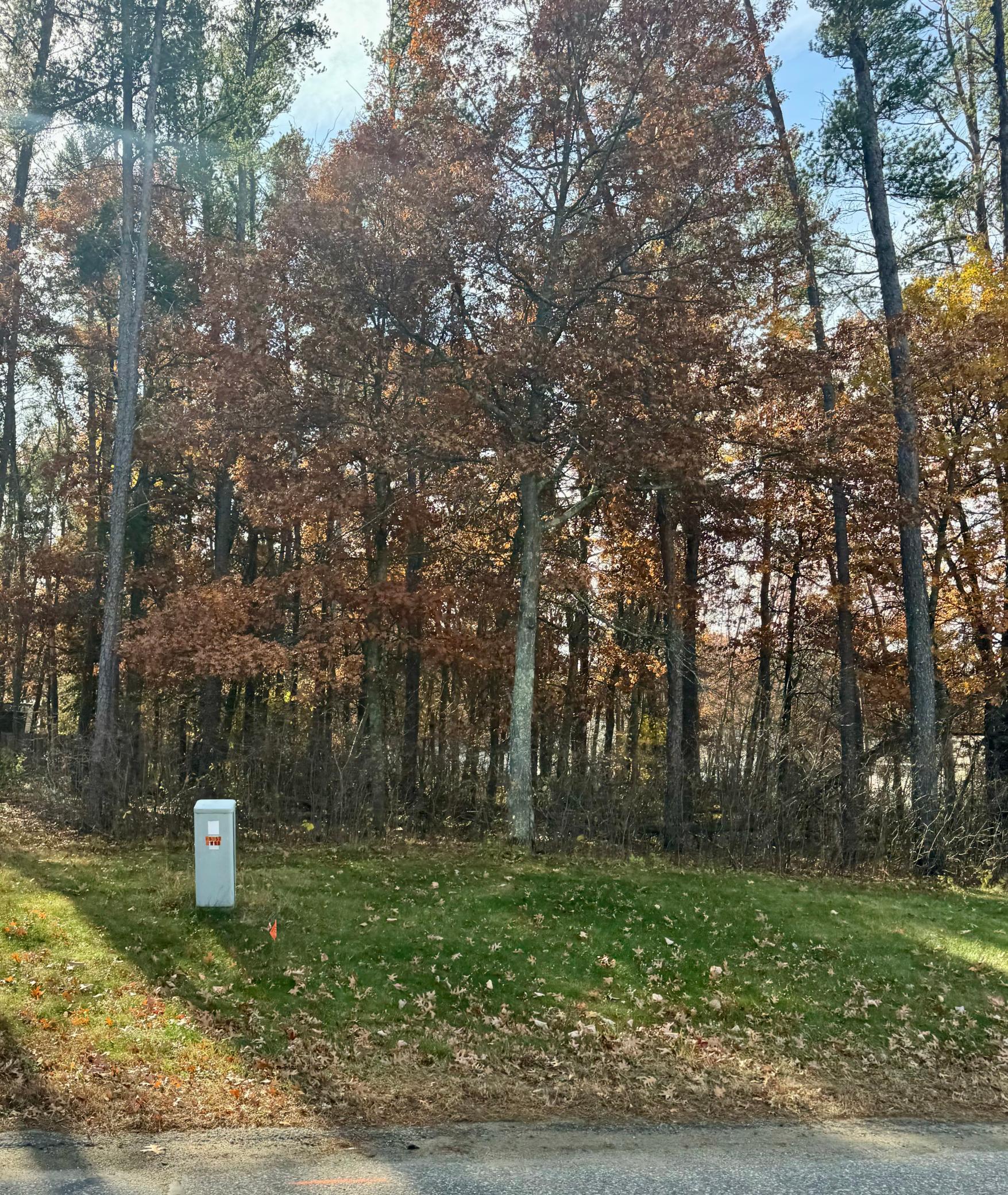 Tbd Clearwater Road North Baxter, MN 56425 - Photo 1 of 4