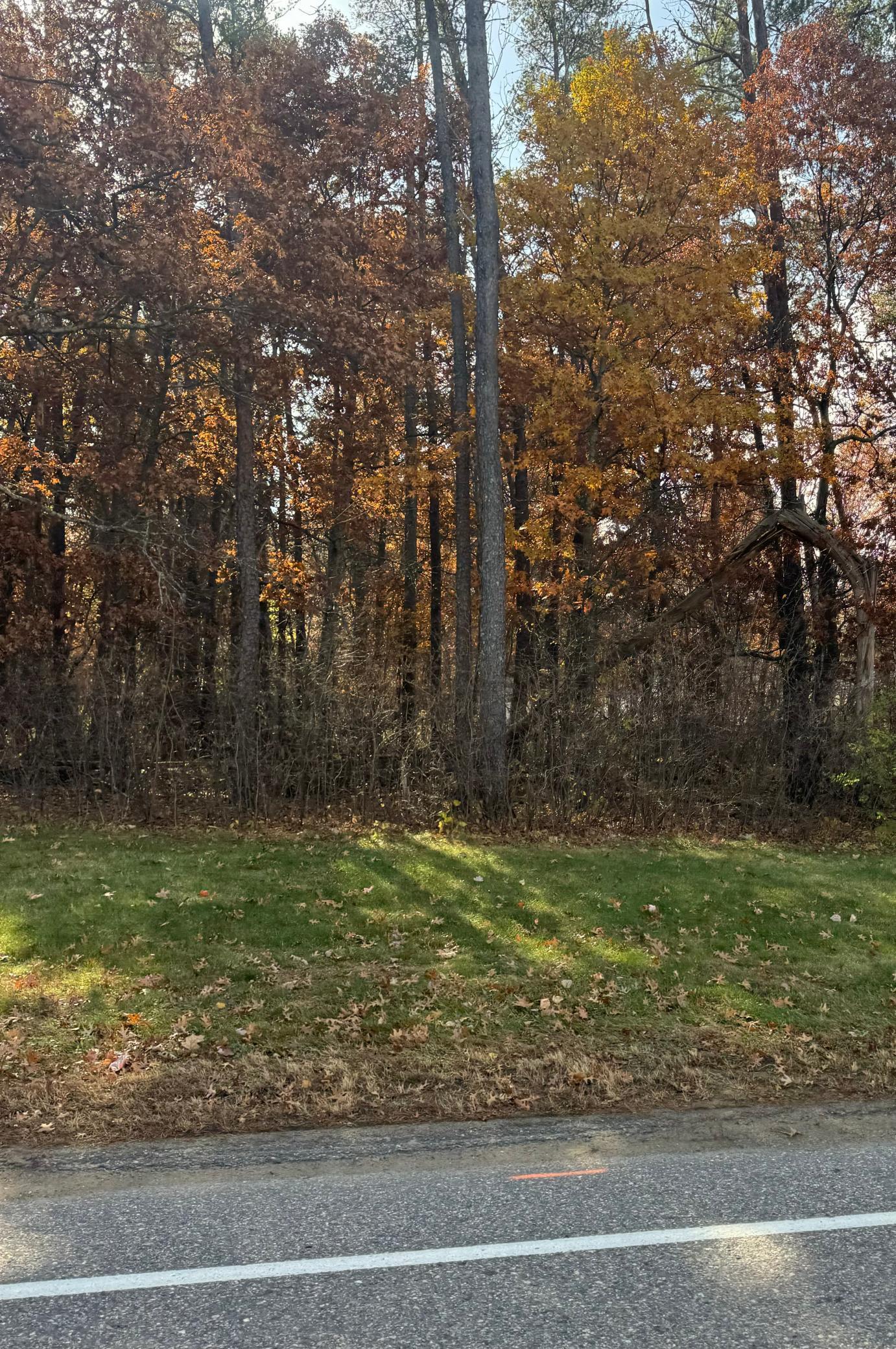 Tbd Clearwater Road North Baxter, MN 56425 - Photo 3 of 4