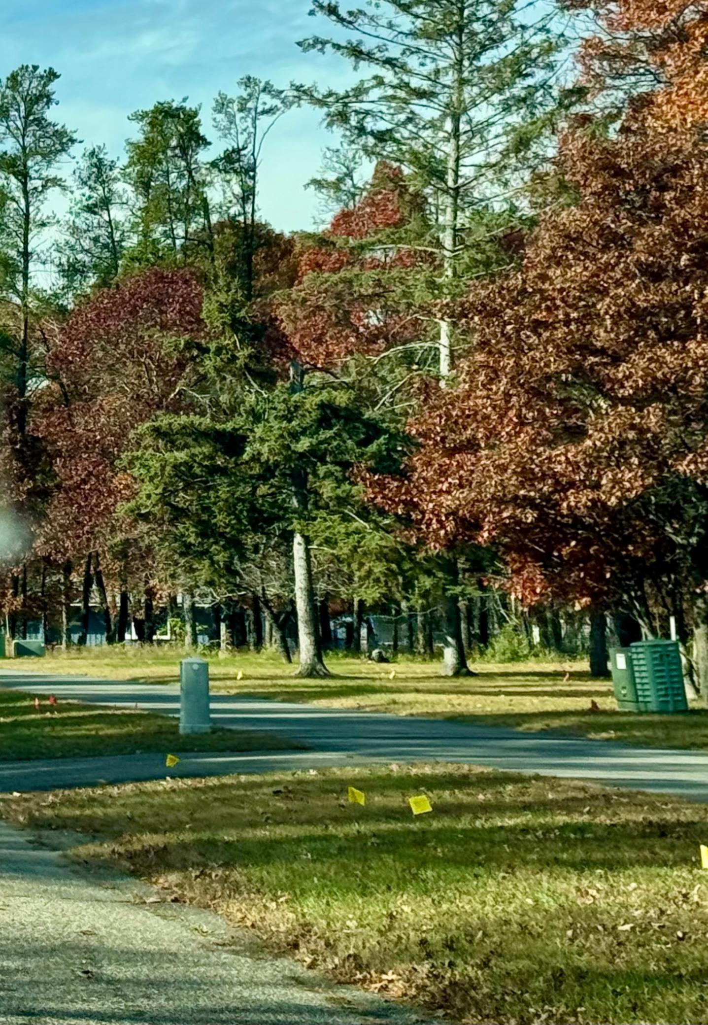 Tbd Clearwater Road North Baxter, MN 56425 - Photo 4 of 4