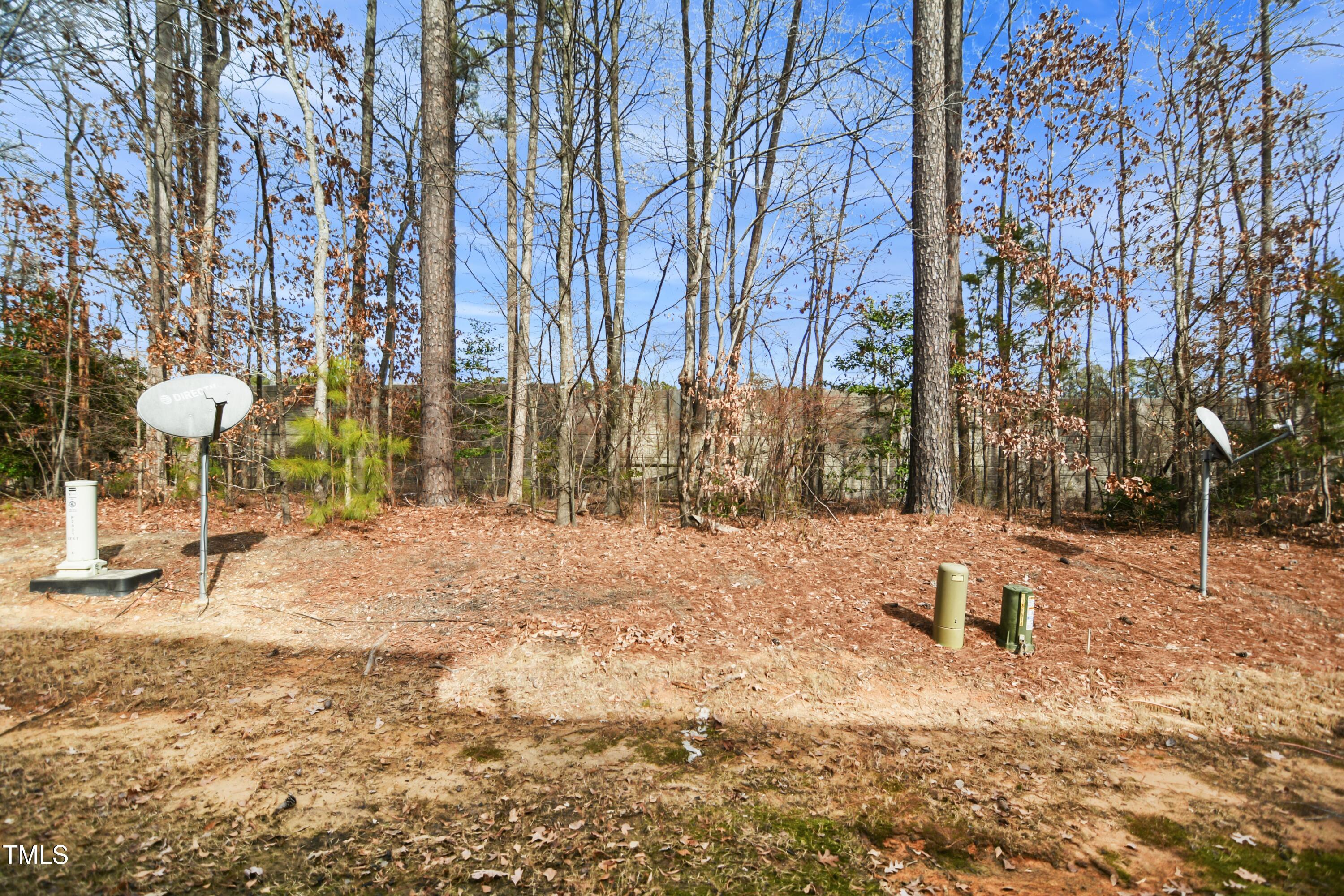 2901 Benevolence Drive Raleigh, NC 27610 - Photo 18 of 18 a view of a backyard with large trees