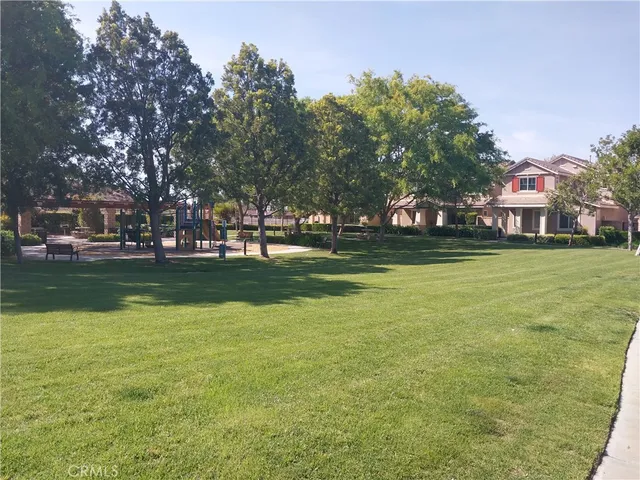 a view of a park with large trees