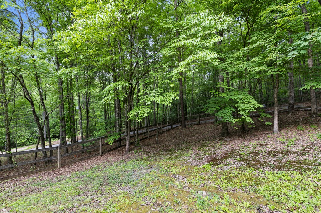220 Solar Drive Blue Ridge, GA 30513 - Photo 53 of 59 a backyard of a house with lots of green space