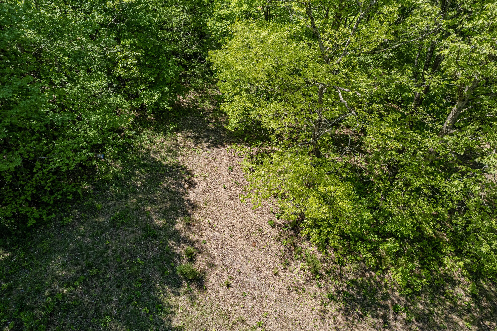 562 Griffith Branch Road Madisonville, TN 37354 - Photo 4 of 14 Gallery Image 4