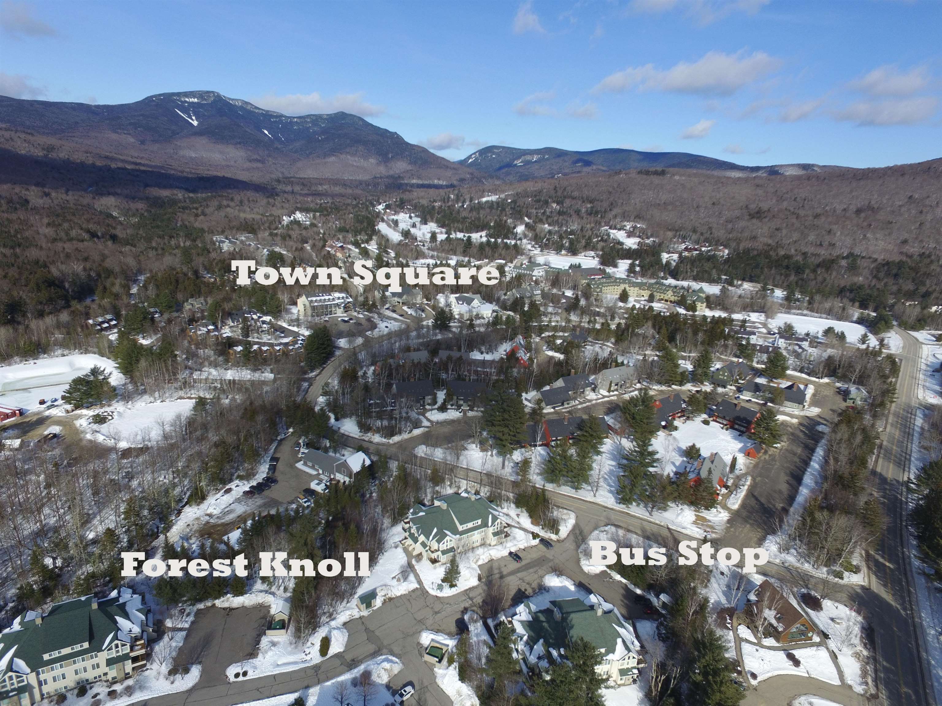 42 Forest Knoll Way, Unit G2 Waterville Valley, NH 03215 - Photo 21 of 21