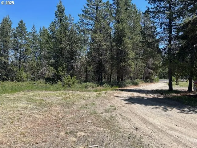 a view of a yard with a tree