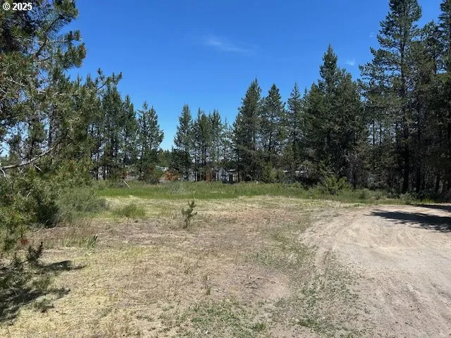 a view of a field with trees in background