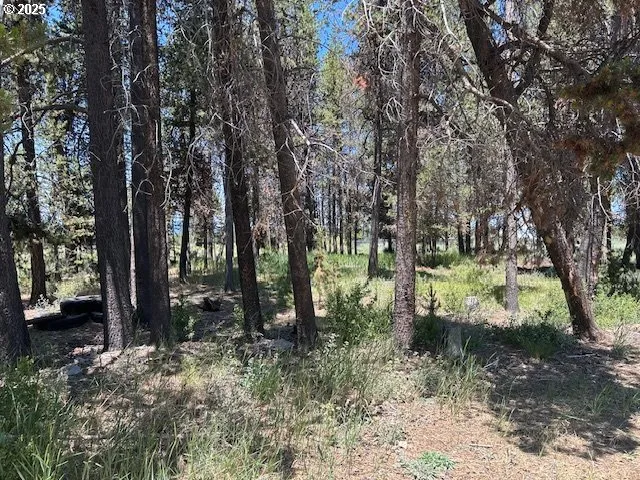 a view of outdoor space and trees