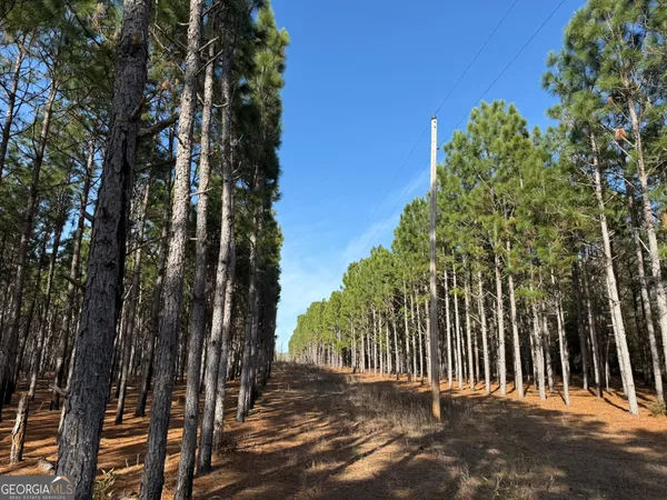 $86,400 | 4 Hwy 45, Plains, GA 31780