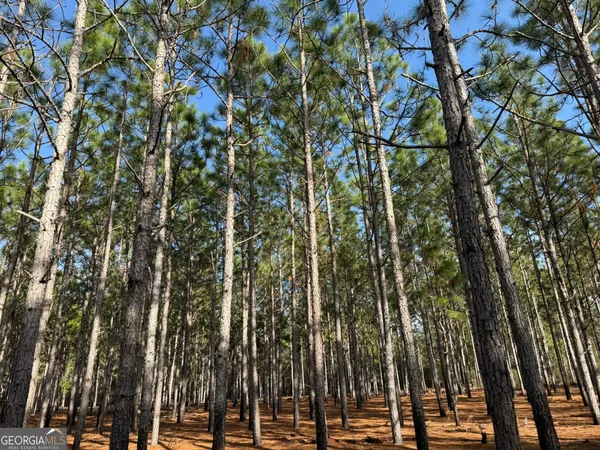 $86,400 | 4 Hwy 45, Plains, GA 31780