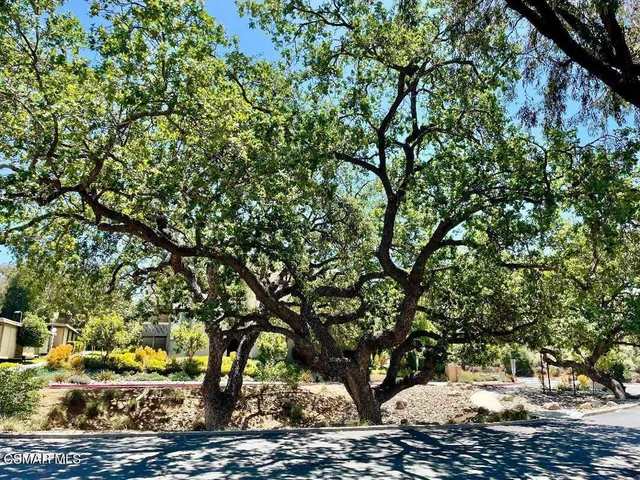 a view of a large yard