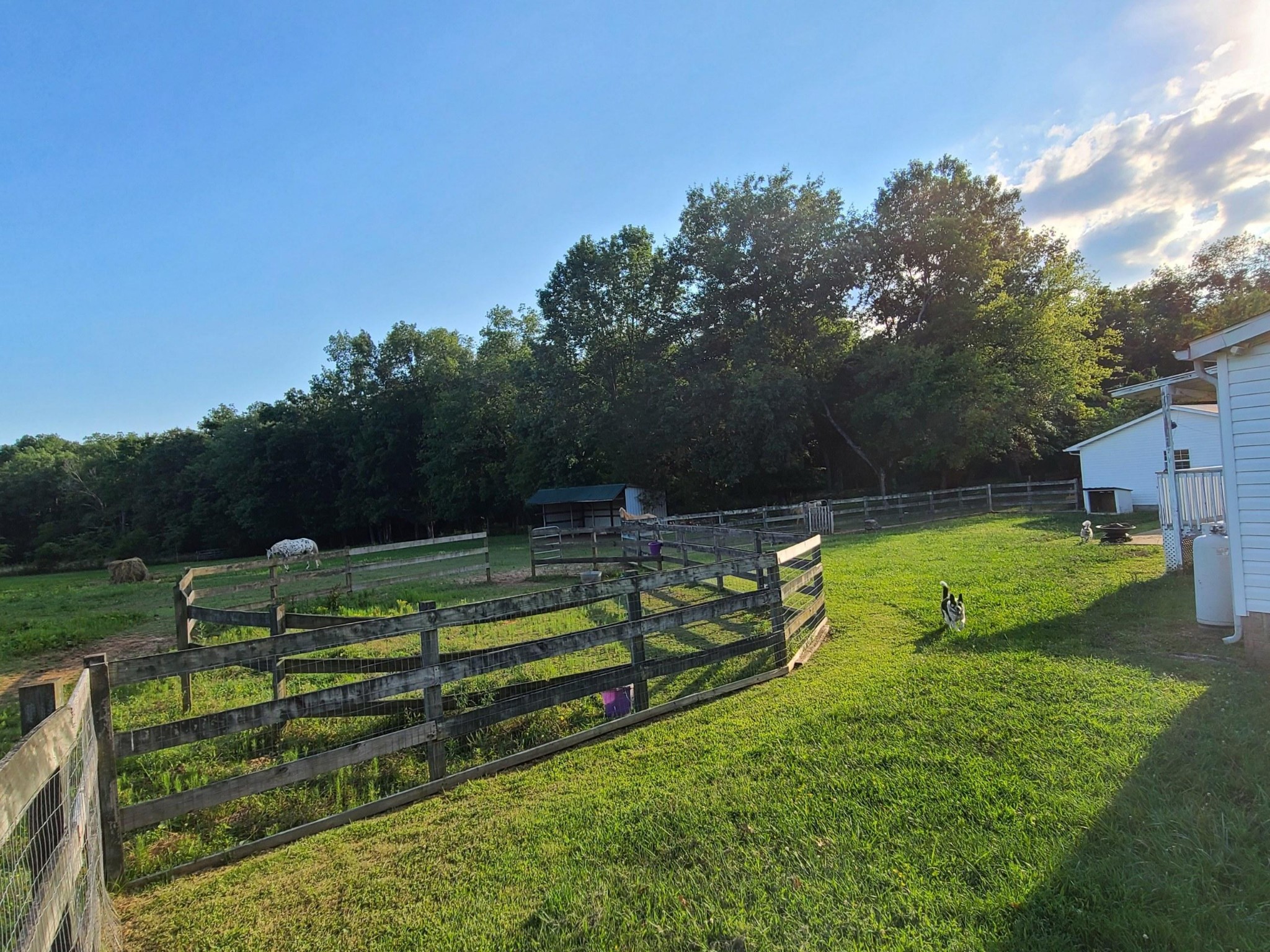 4576 Kedron Road Spring Hill, TN 37174 - Photo 5 of 35 a view of a park with large trees