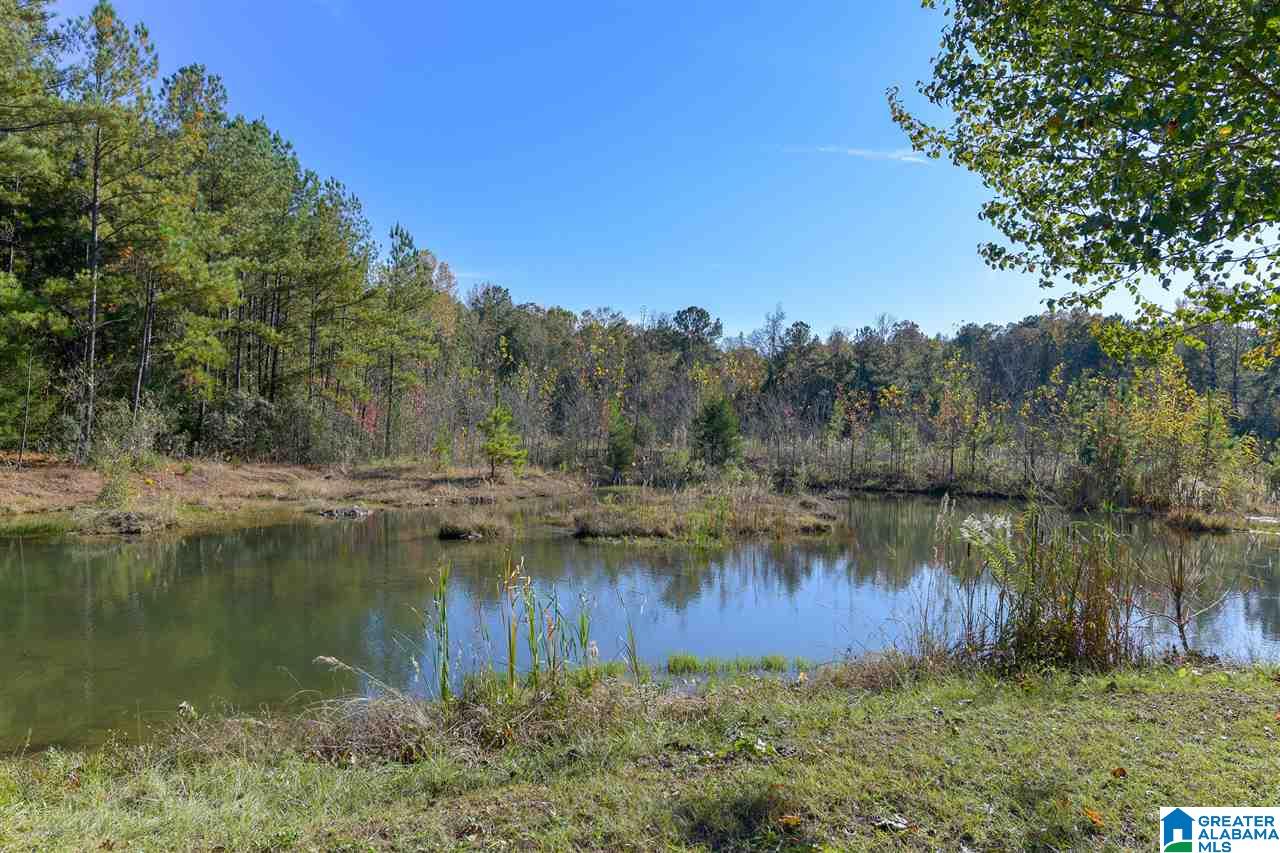 300 Eaglewood Farms Road Alabaster, AL 35114 - Photo 4 of 49 Gallery Image 4