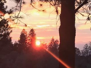 6849 Alpine Ridge Road Shingletown, CA 96088 - Photo 54 of 59 Another day in paradise