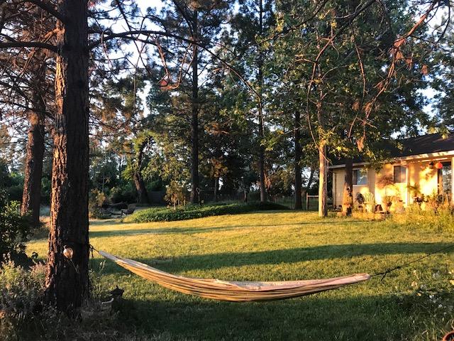 6849 Alpine Ridge Road Shingletown, CA 96088 - Photo 9 of 59 Time to relax