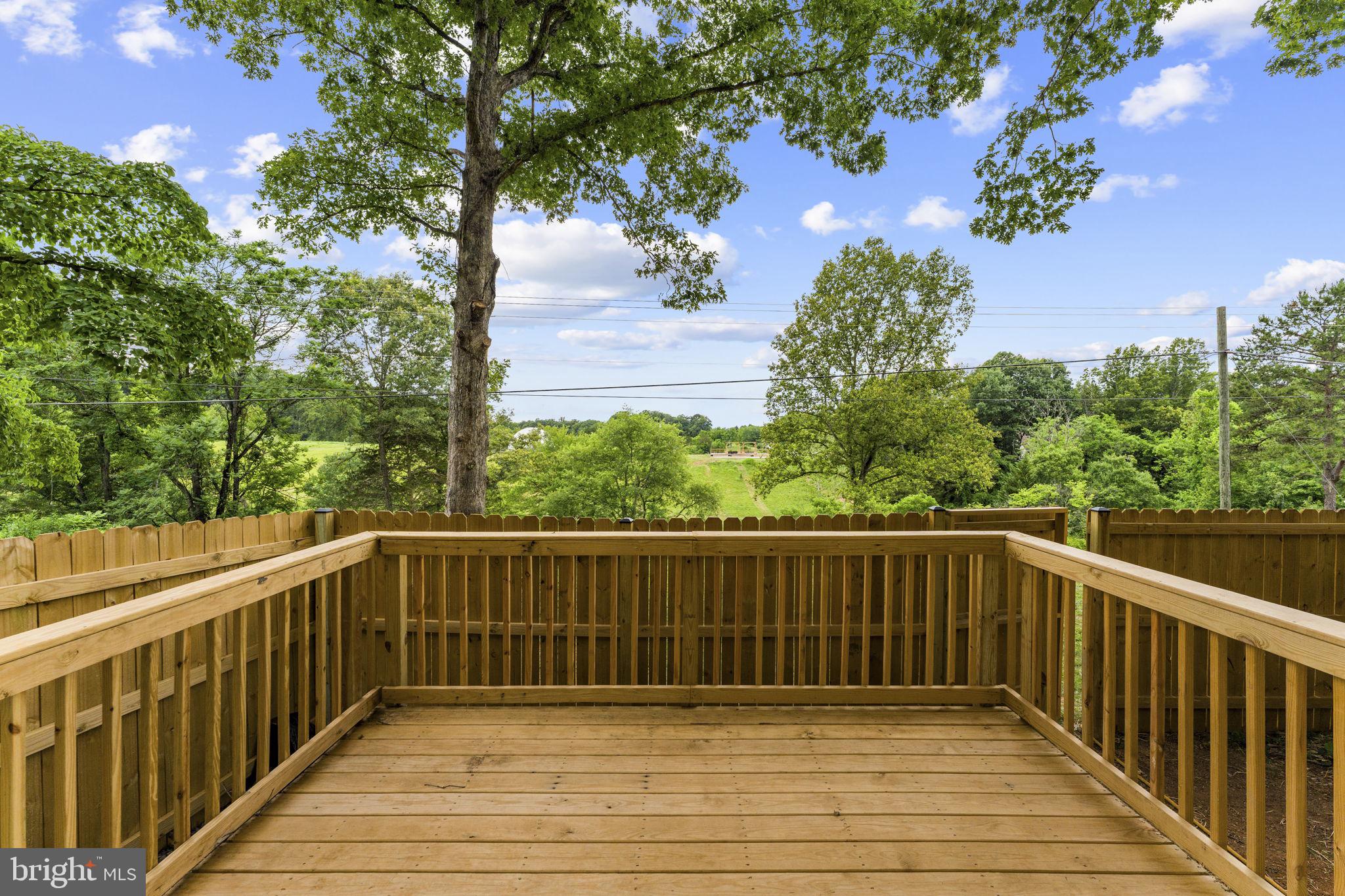 13166 Rixeyville Road Culpeper, VA 22701 - Photo 40 of 49