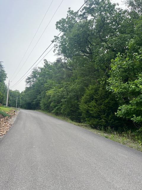 5.22 Blue Sewanee Road Dunlap, TN 37327 - Photo 3 of 14 IMG_9211