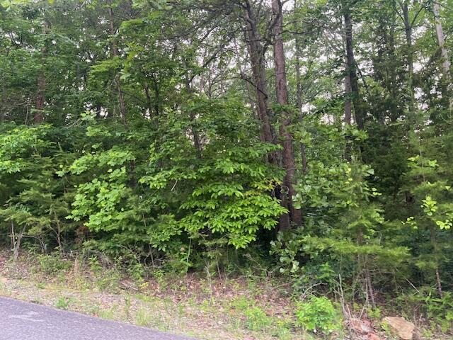 5.22 Blue Sewanee Road Dunlap, TN 37327 - Photo 10 of 14 IMG_9218