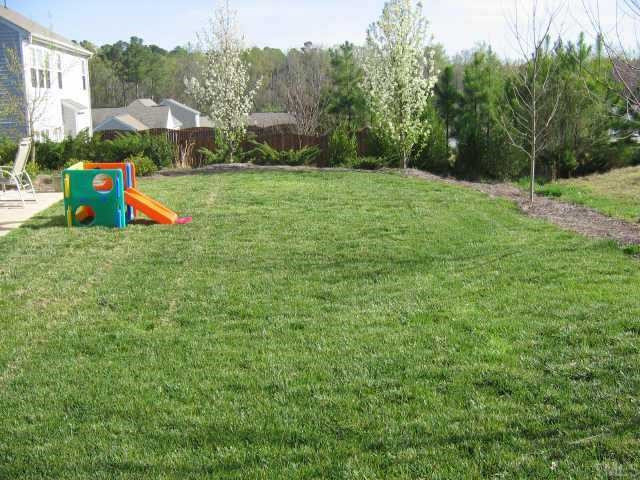 409 Grassy Point Road Apex, NC 27502 - Photo 10 of 10 Other
