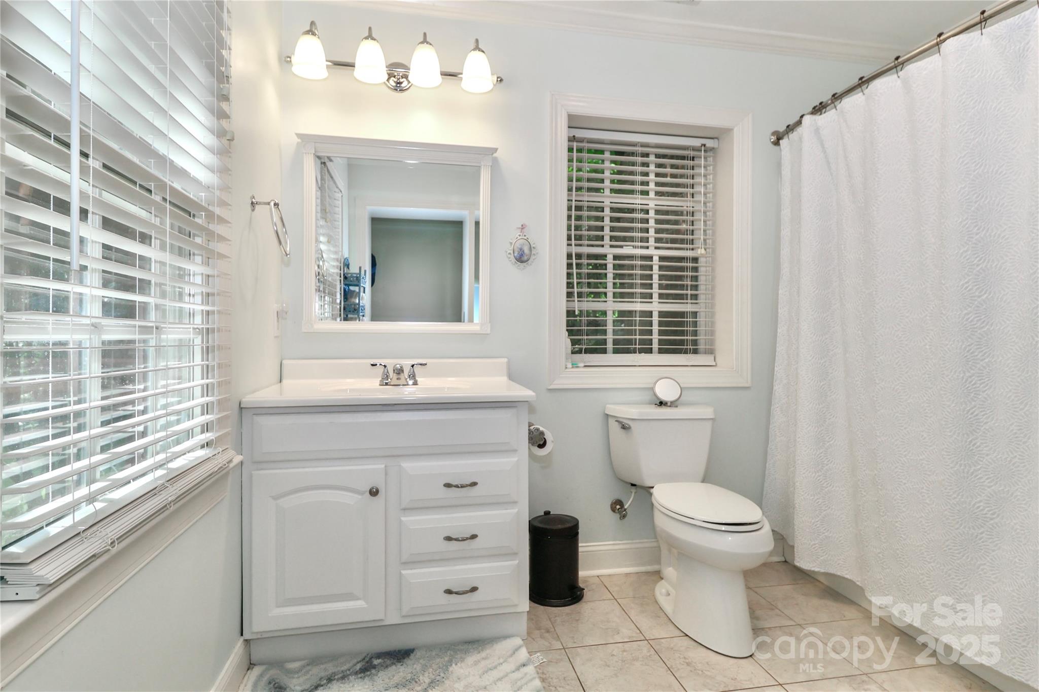 625 St Andrews Road Statesville, NC 28625 - Photo 39 of 48 a bathroom with a sink a toilet and a window