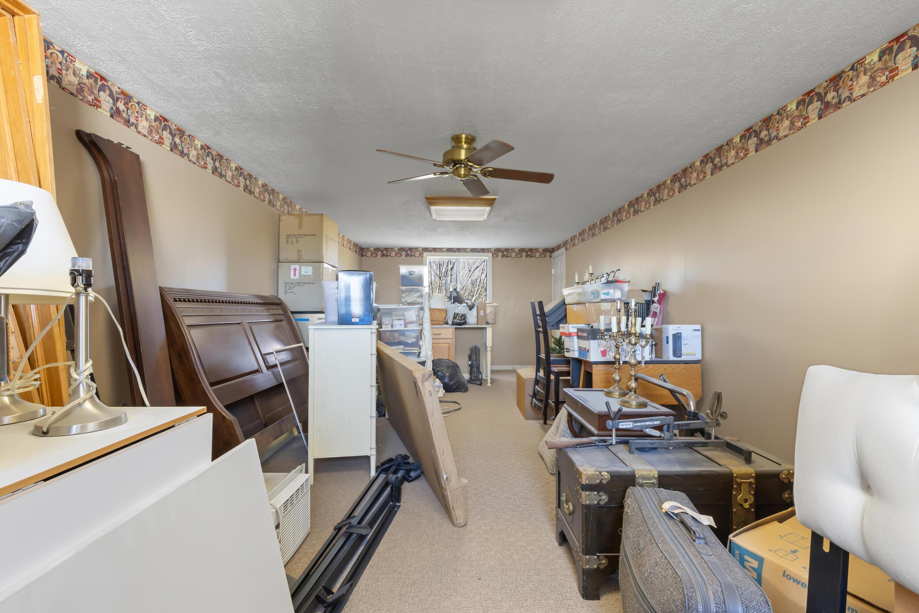 1364 Dale Ford Road Delaware, OH 43015 - Photo 88 of 112 • Berber carpet • Tan painted walls • (2) ceiling lights • Ceiling fan • Attic access