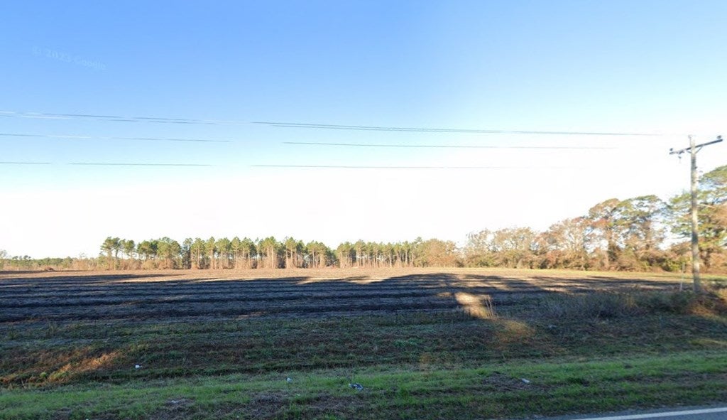 Tbd Baker Sawmill Road Lenox, GA 31637 - Photo 2 of 2 Gallery Image 2