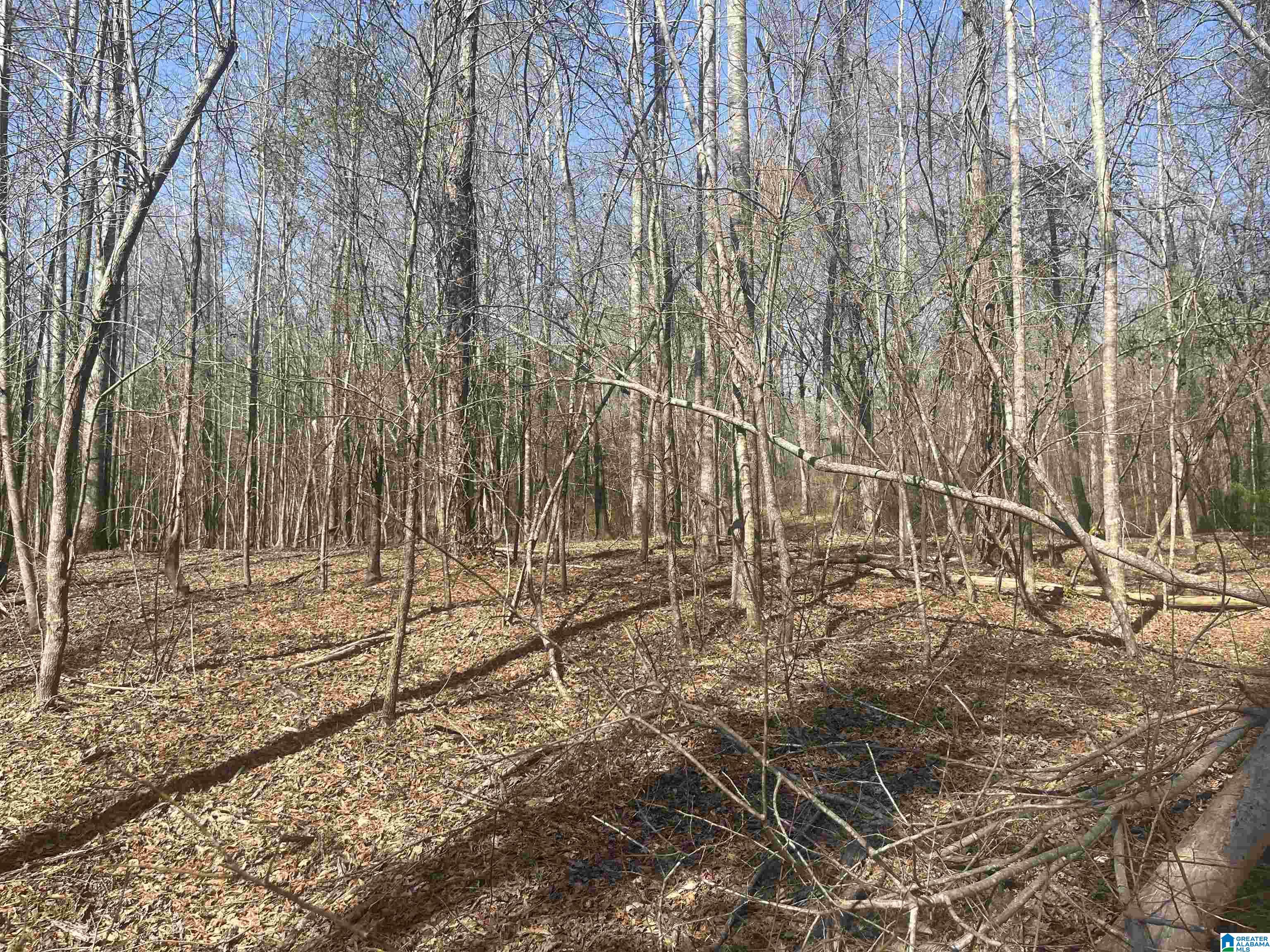 0 Crystal Lake Road West Blocton, AL 35184 - Photo 11 of 16