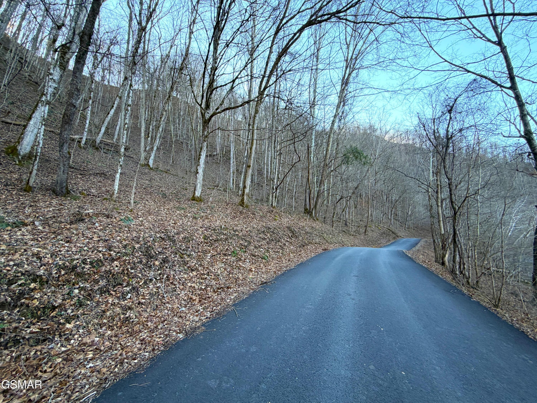 14 Horton Ford Road Eidson, TN 37731 - Photo 9 of 9 Gallery Image 9