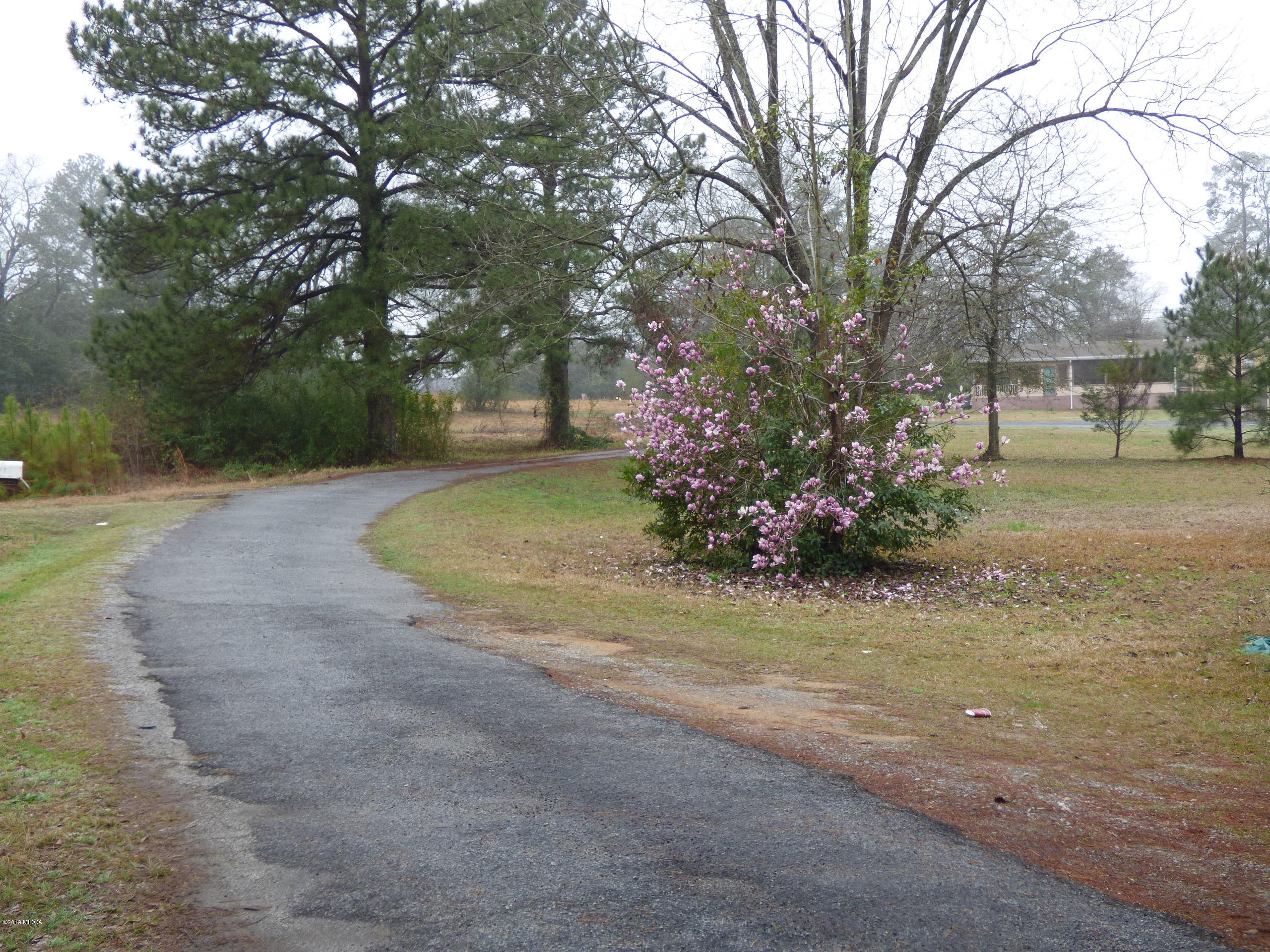 5542 Houston Road Macon, GA 31216 - Photo 2 of 5 a view of a garden with trees