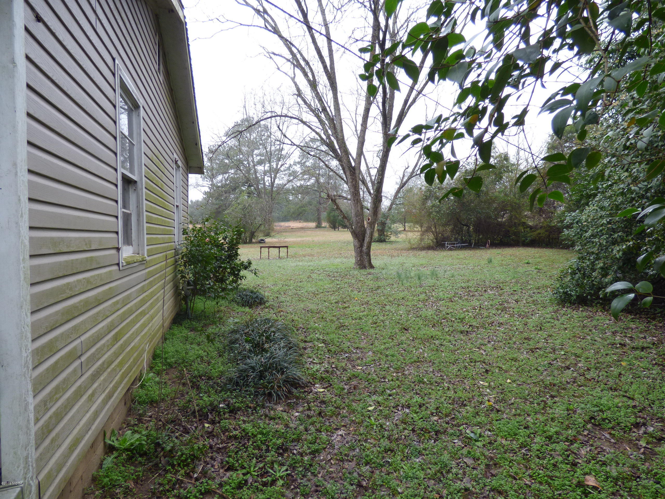 5542 Houston Road Macon, GA 31216 - Photo 3 of 5 a view of backyard with green space
