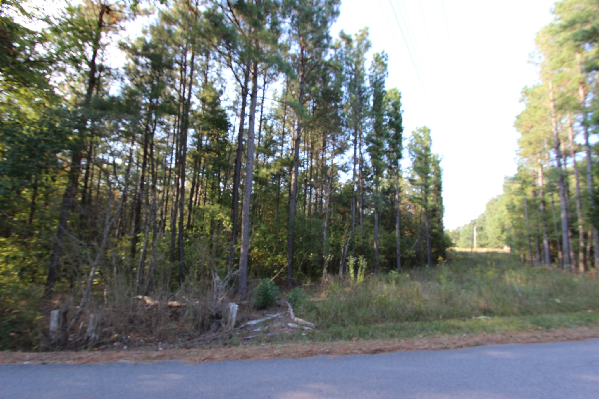 830 Cooley Ford Road Tennessee Ridge, TN 37178 - Photo 8 of 15 a view of a forest filled with trees