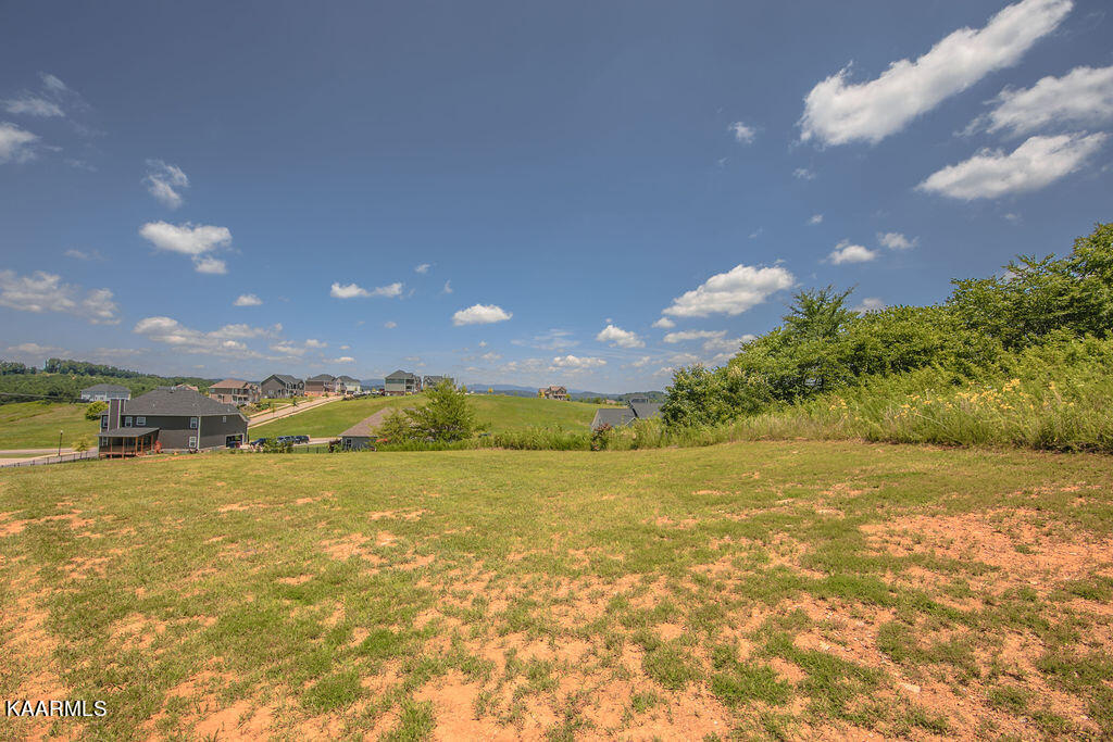 103 Hitchberry Road Oak Ridge, TN 37830 - Photo 29 of 33 2S2A1298-1