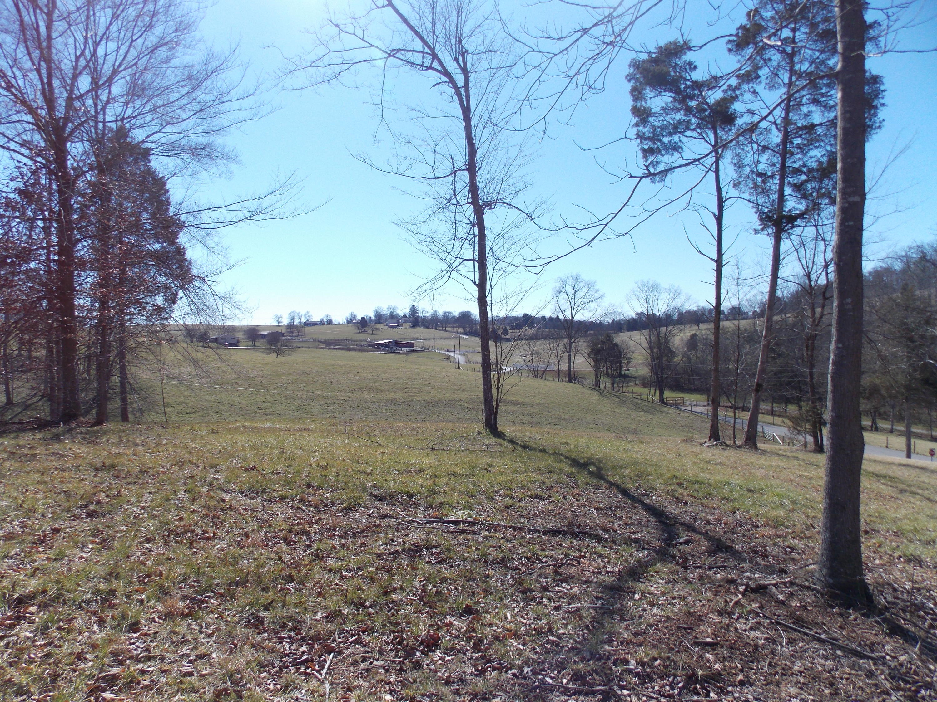 Lakeside Road Madisonville, TN 37354 - Photo 1 of 38 DSCN1616