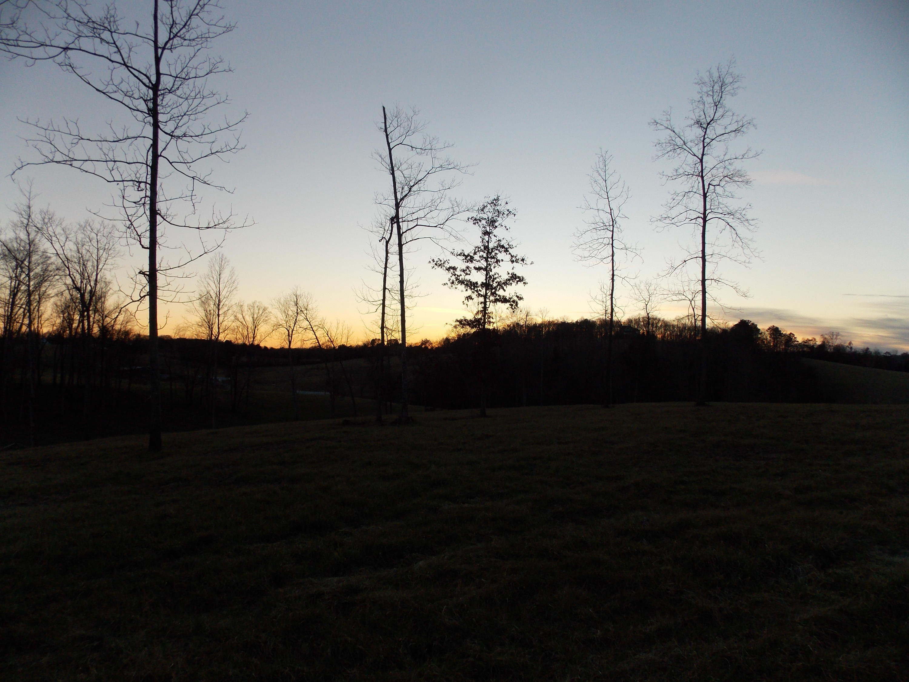 Lakeside Road Madisonville, TN 37354 - Photo 13 of 38 DSCN1572