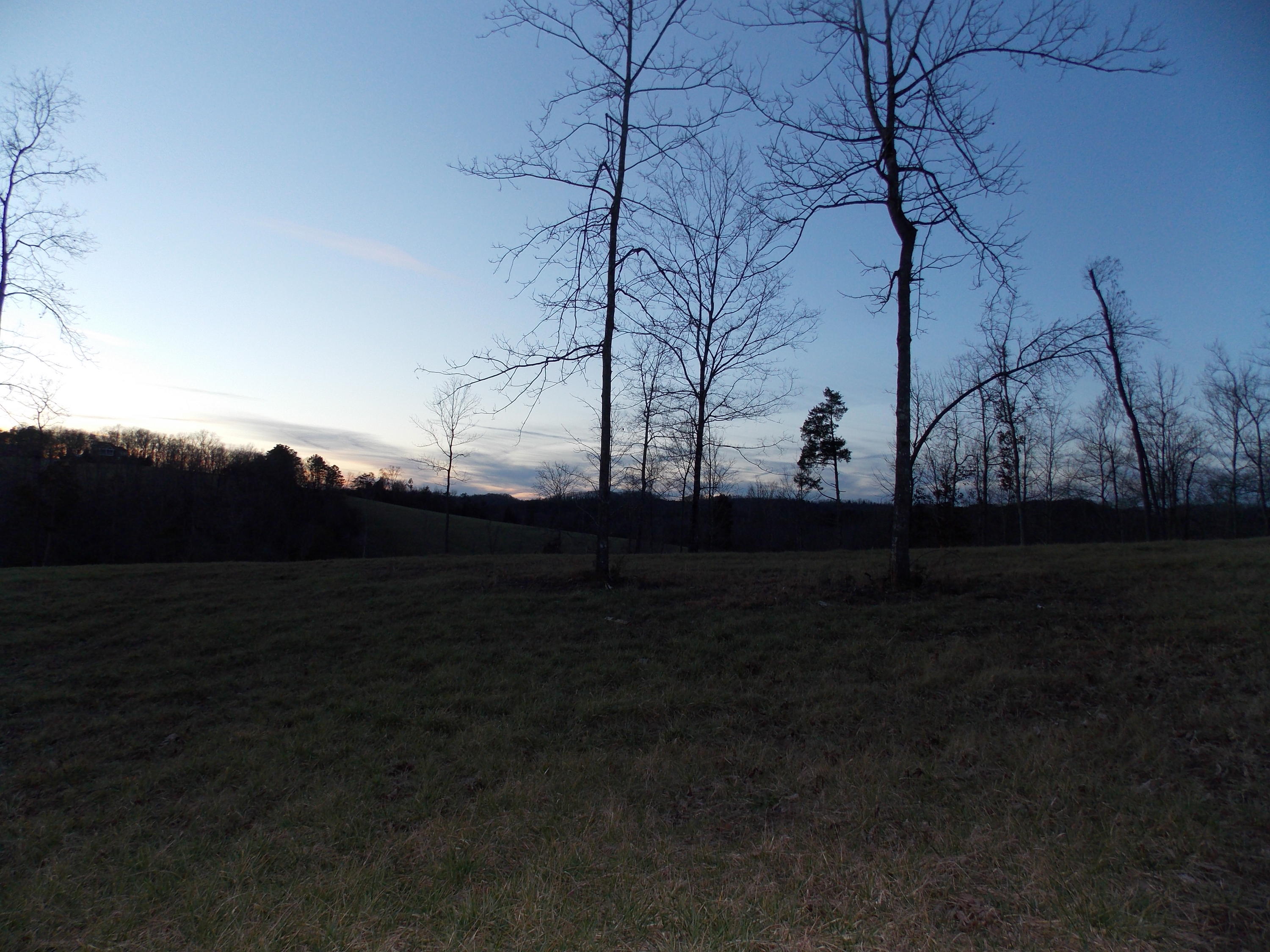 Lakeside Road Madisonville, TN 37354 - Photo 16 of 38 DSCN1576