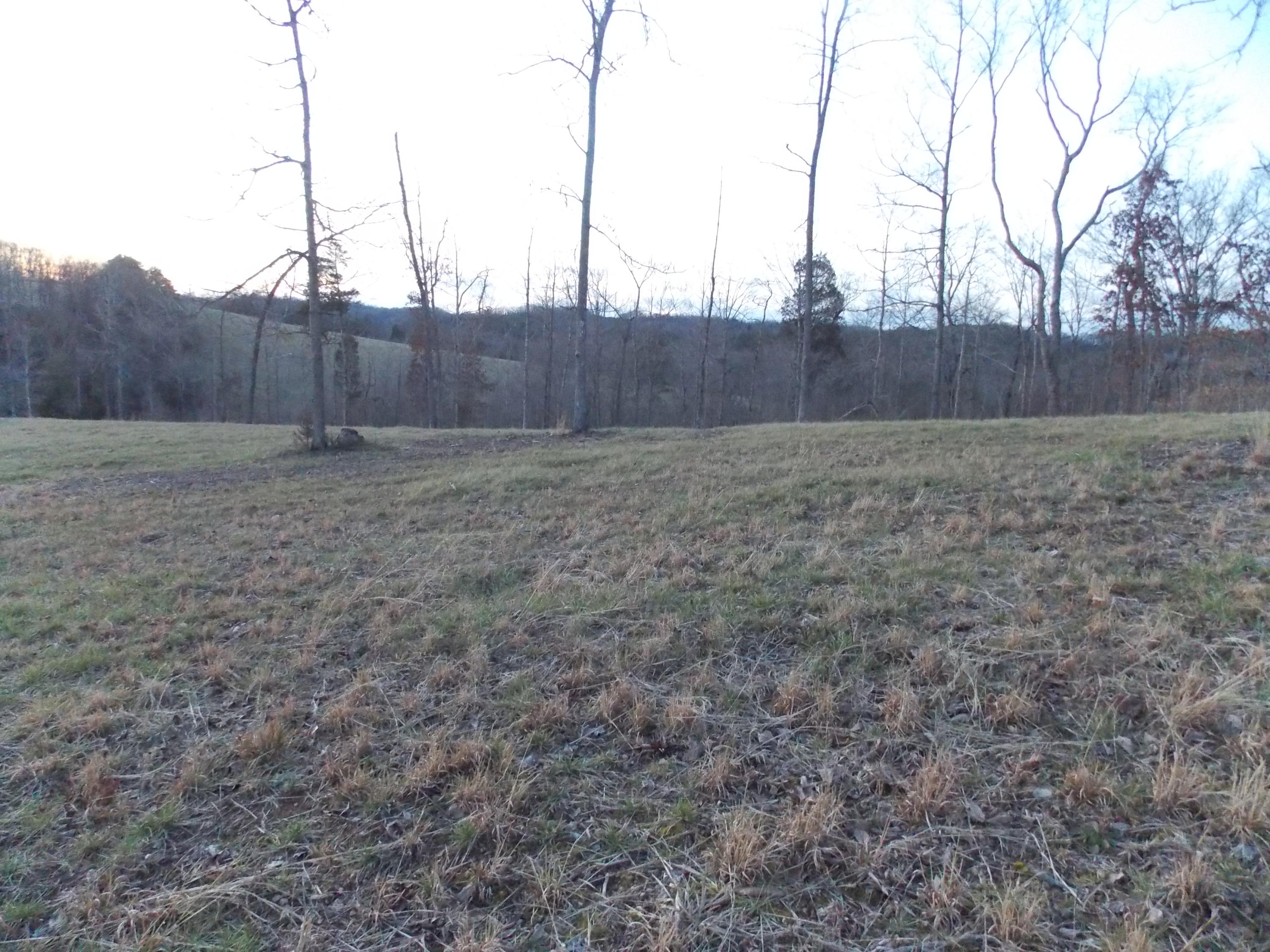 Lakeside Road Madisonville, TN 37354 - Photo 17 of 38 DSCN1581