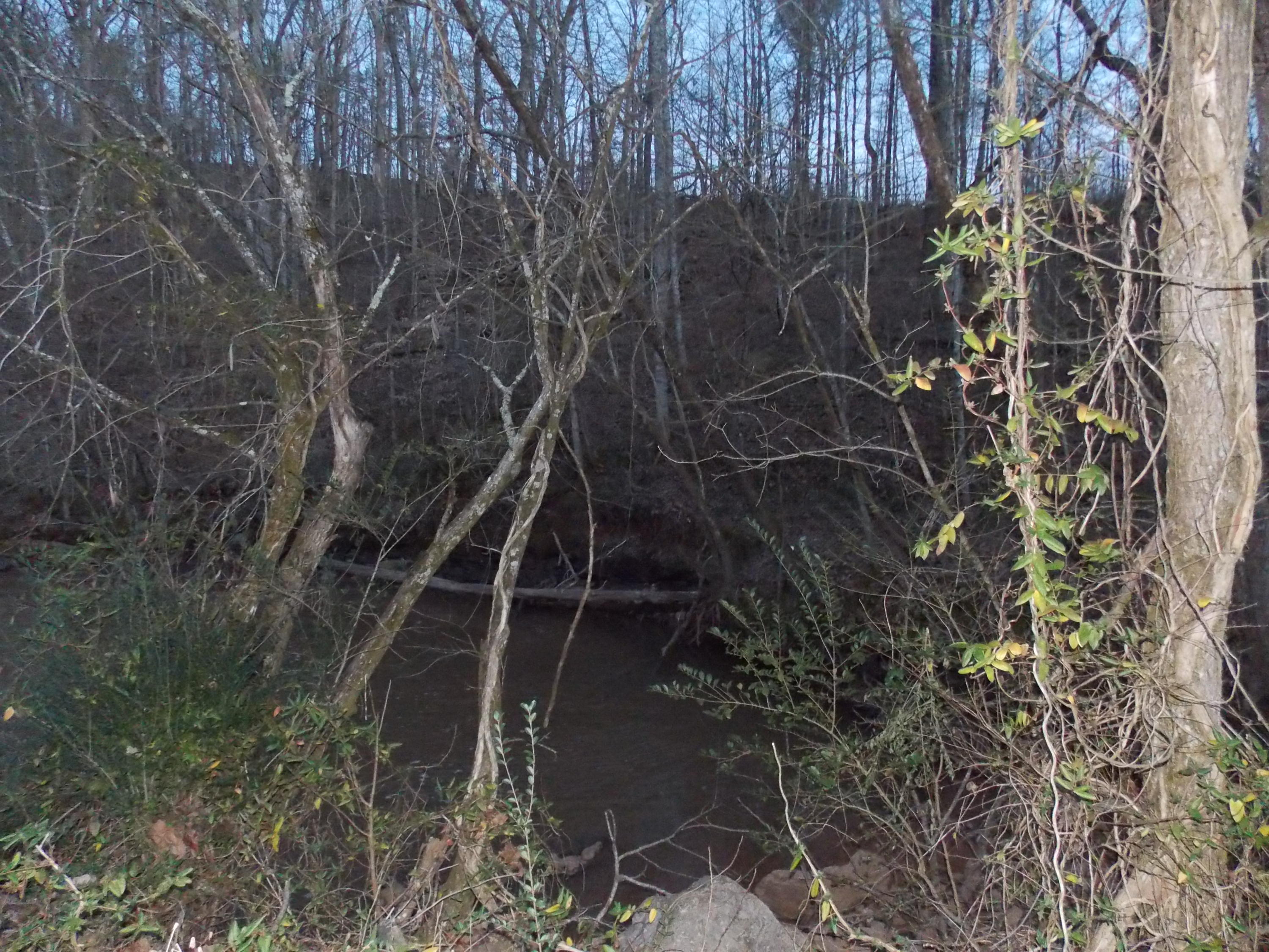 Lakeside Road Madisonville, TN 37354 - Photo 20 of 38 DSCN1586