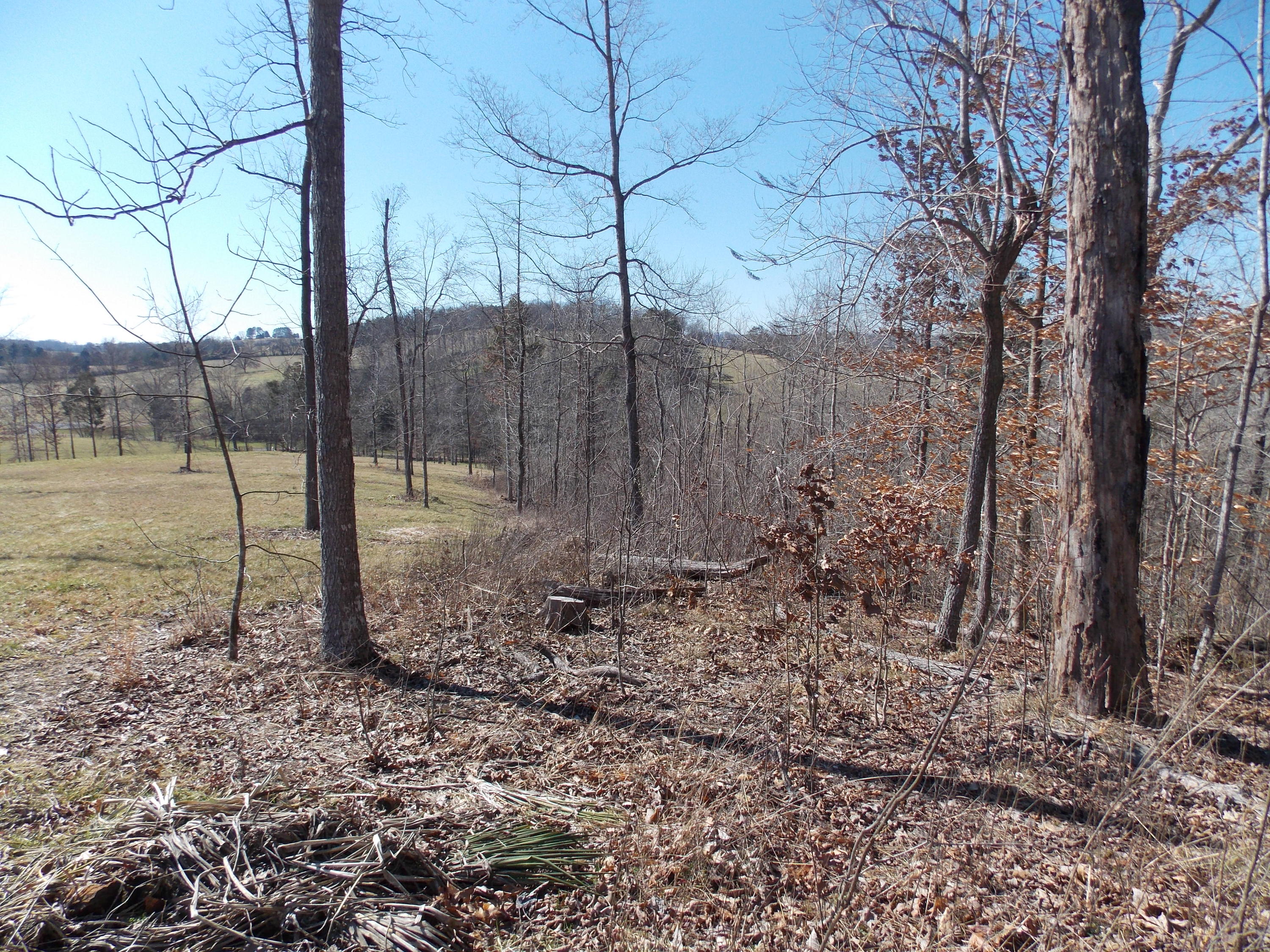 Lakeside Road Madisonville, TN 37354 - Photo 3 of 38 DSCN1602