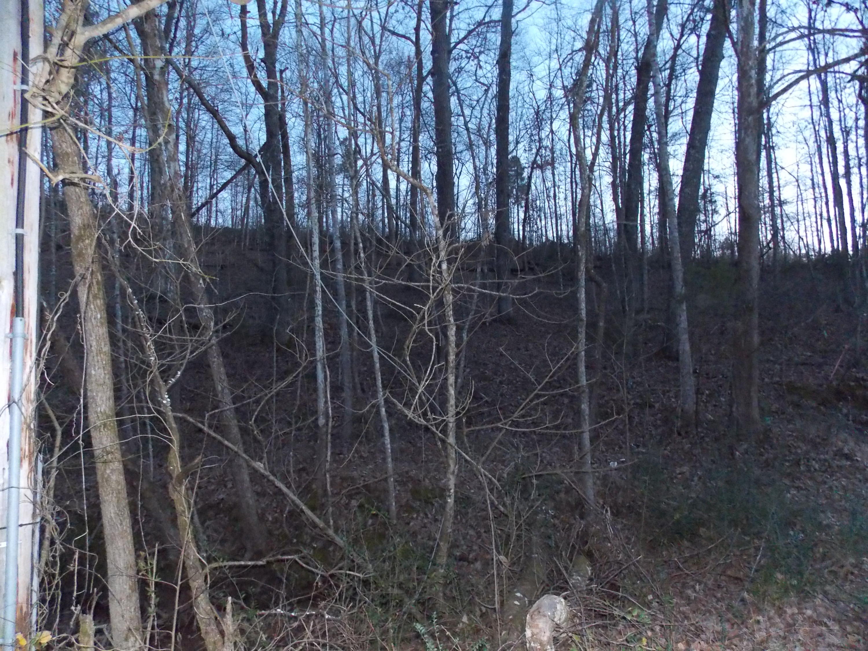 Lakeside Road Madisonville, TN 37354 - Photo 22 of 38 DSCN1588