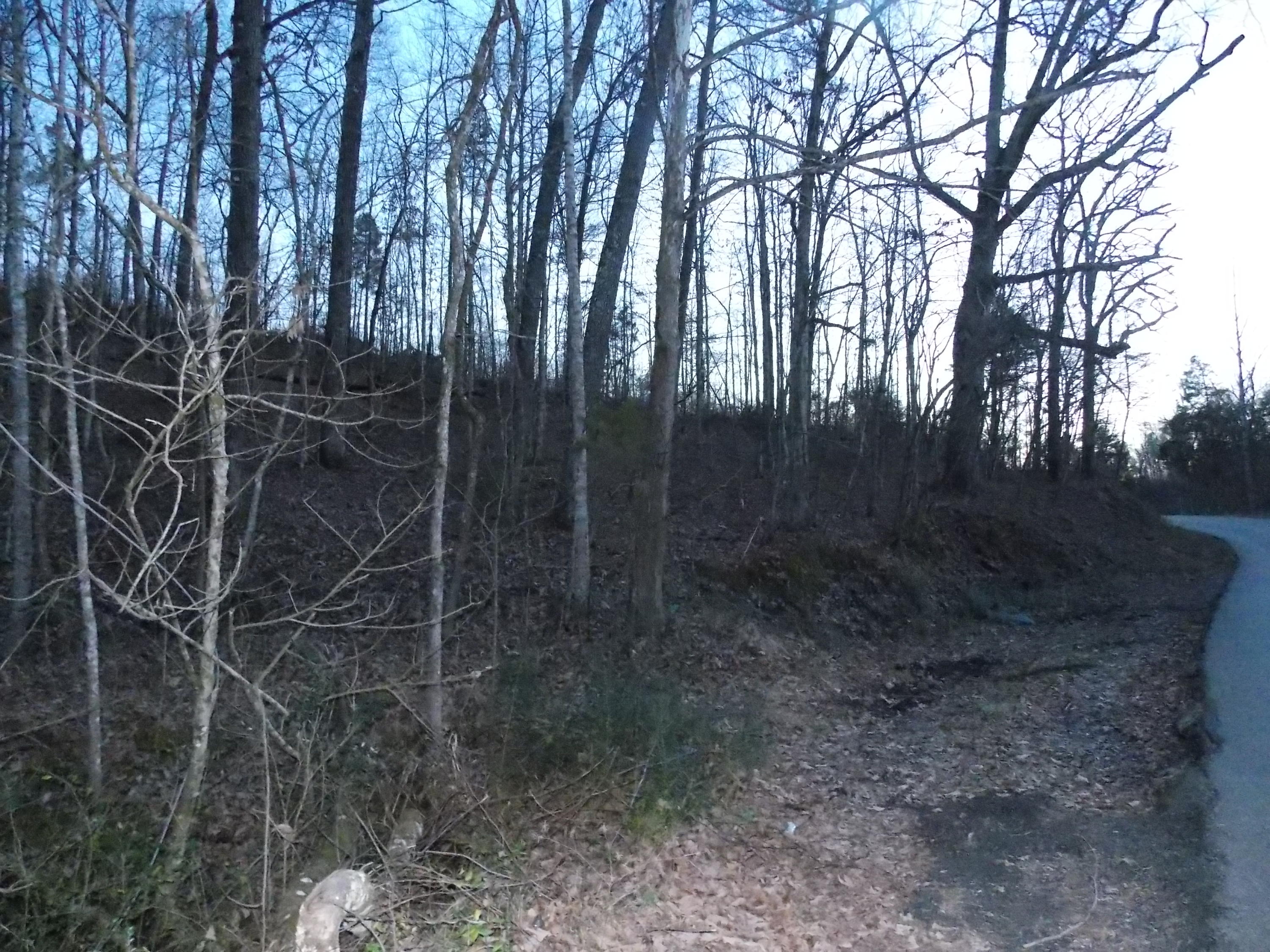Lakeside Road Madisonville, TN 37354 - Photo 23 of 38 DSCN1589