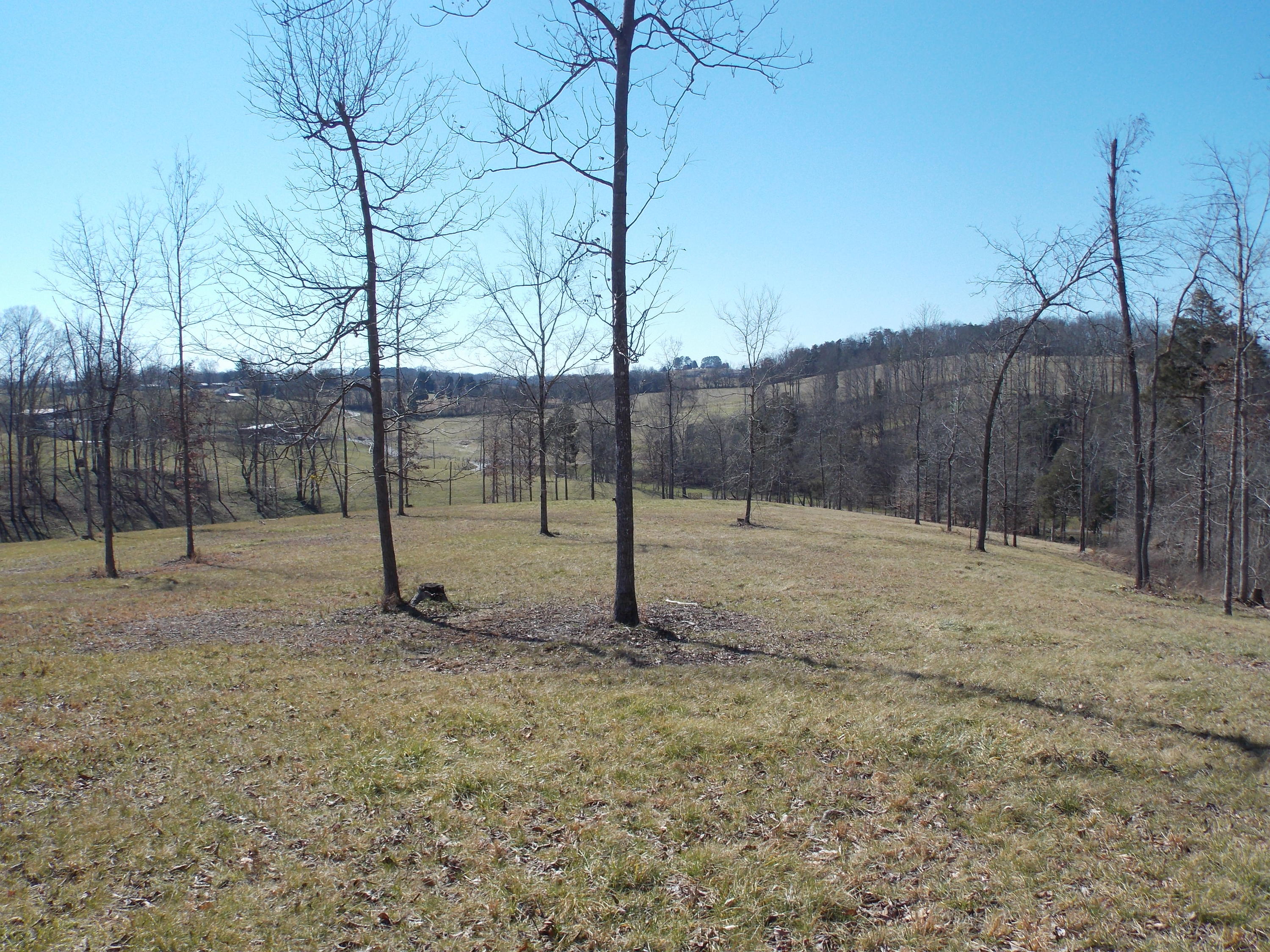 Lakeside Road Madisonville, TN 37354 - Photo 25 of 38 DSCN1605