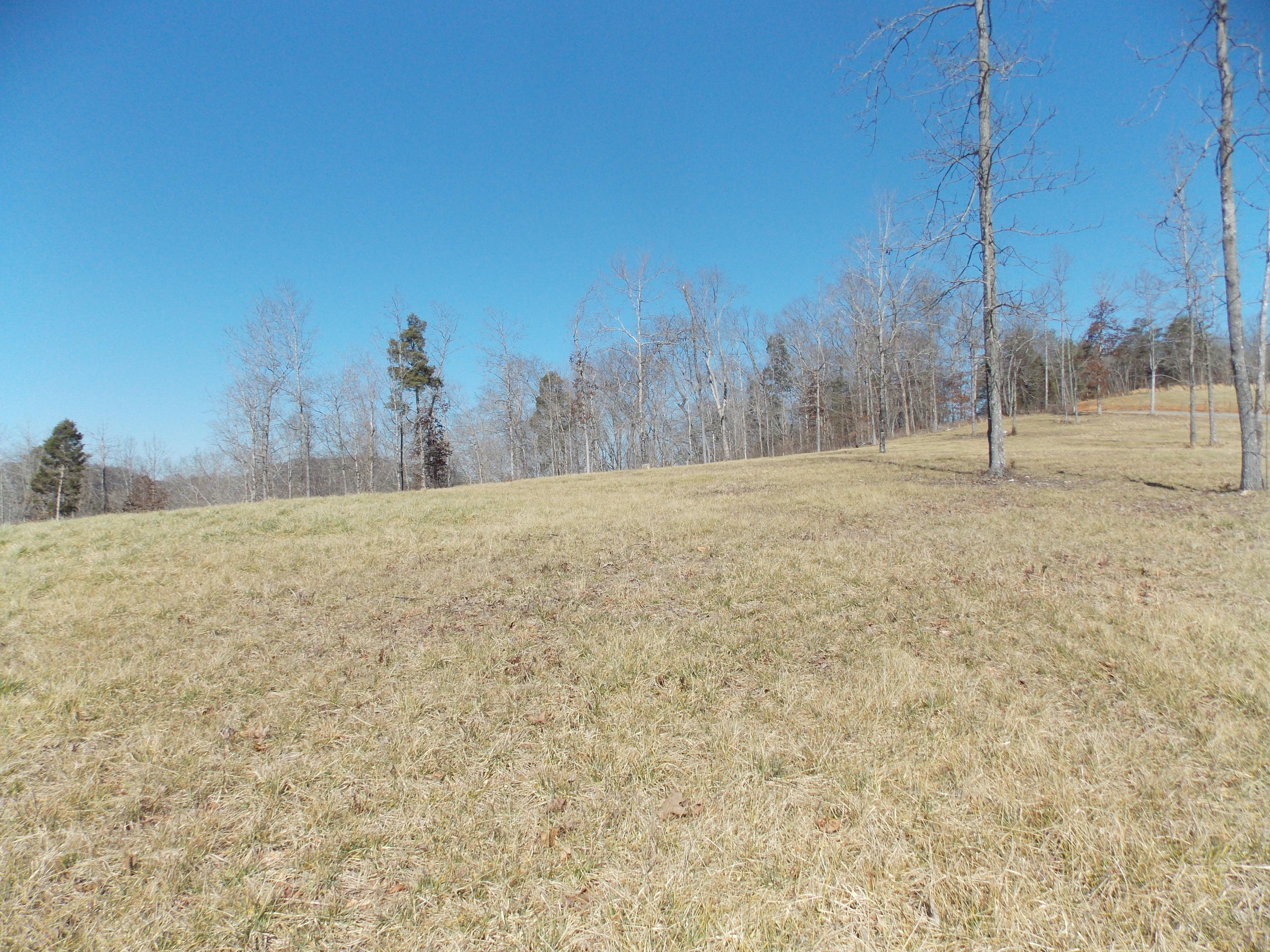 Lakeside Road Madisonville, TN 37354 - Photo 27 of 38 DSCN1608