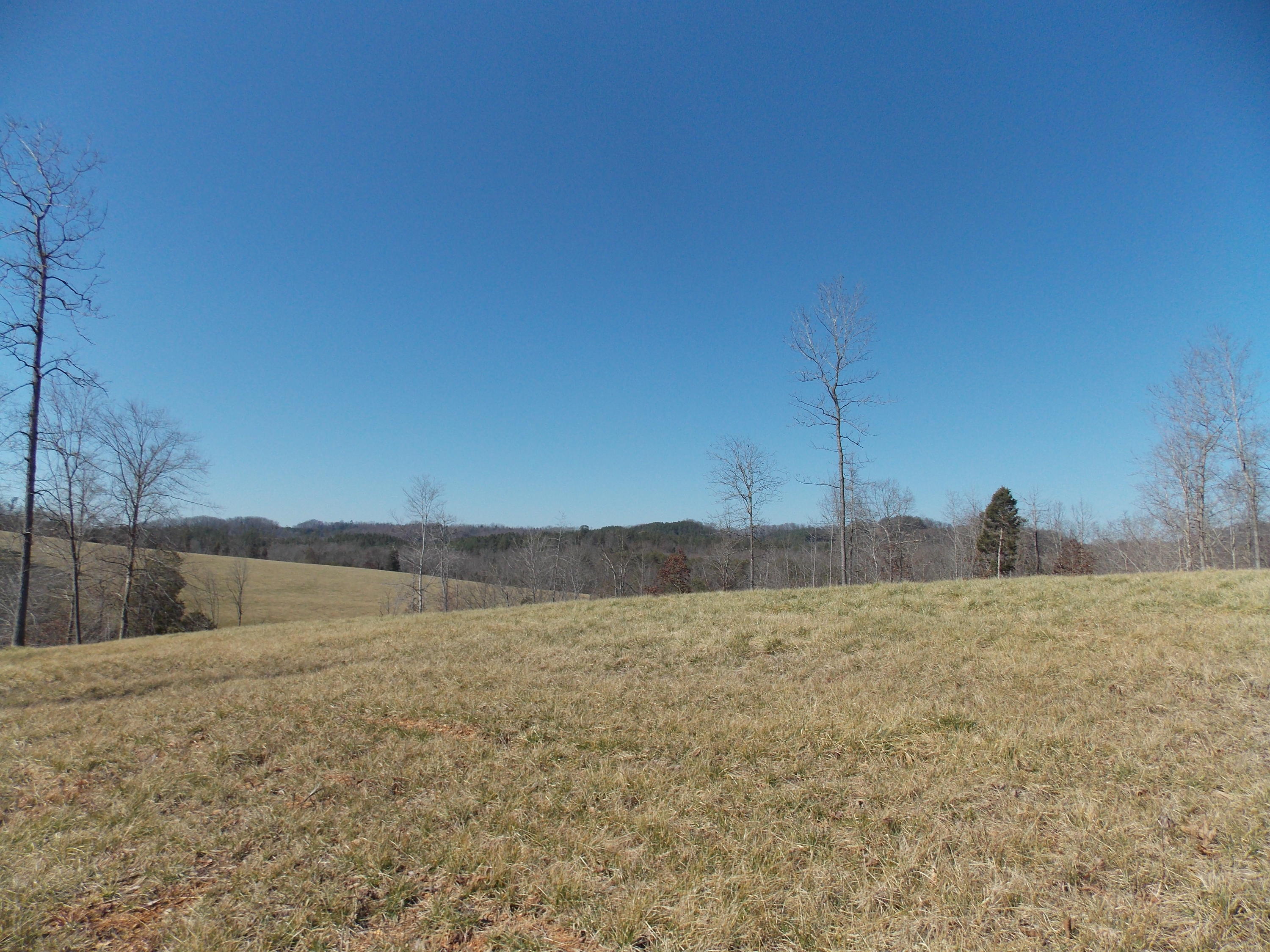 Lakeside Road Madisonville, TN 37354 - Photo 28 of 38 DSCN1609