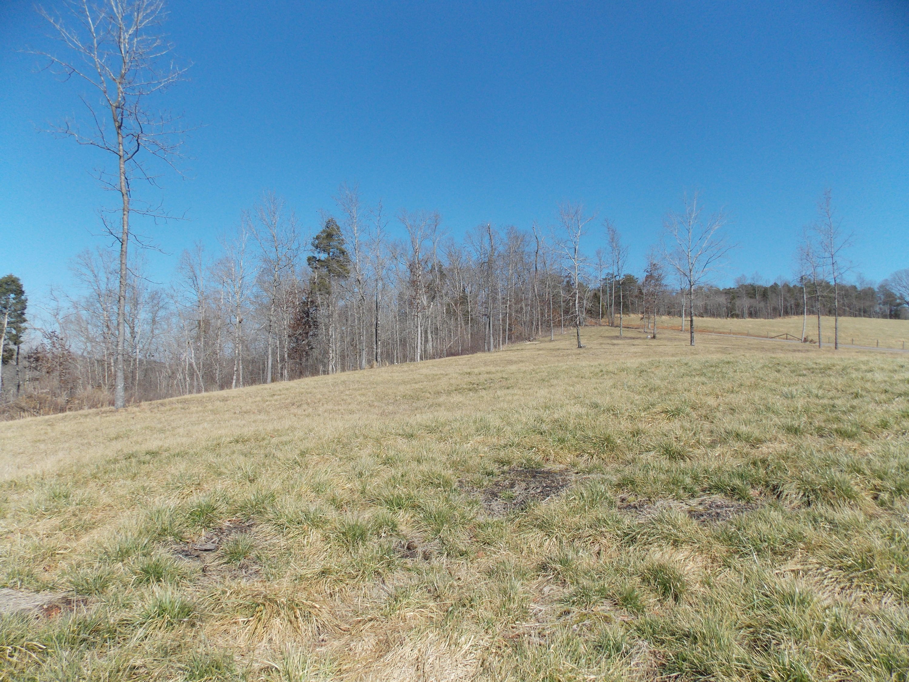 Lakeside Road Madisonville, TN 37354 - Photo 29 of 38 DSCN1610