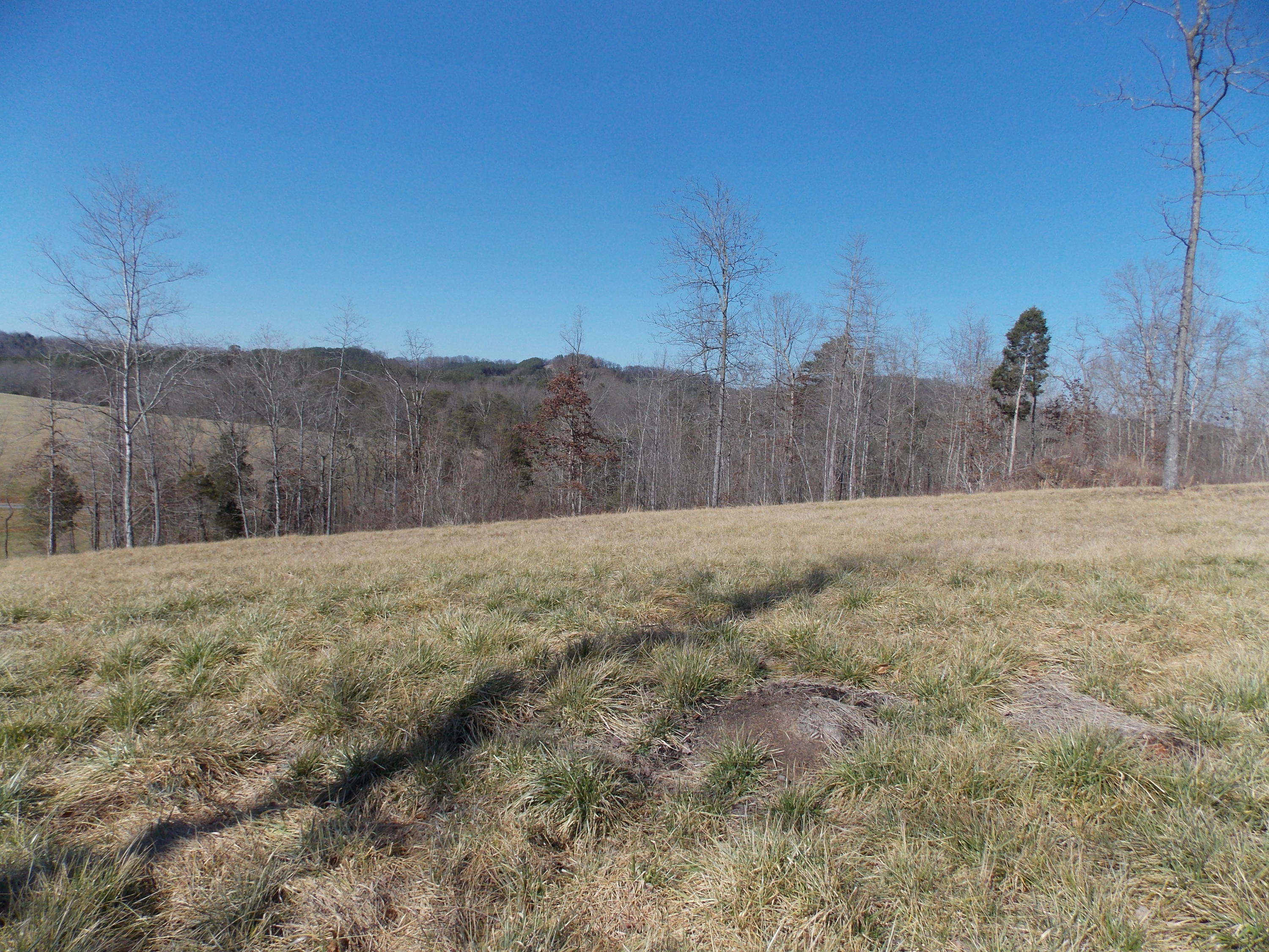Lakeside Road Madisonville, TN 37354 - Photo 30 of 38 DSCN1611