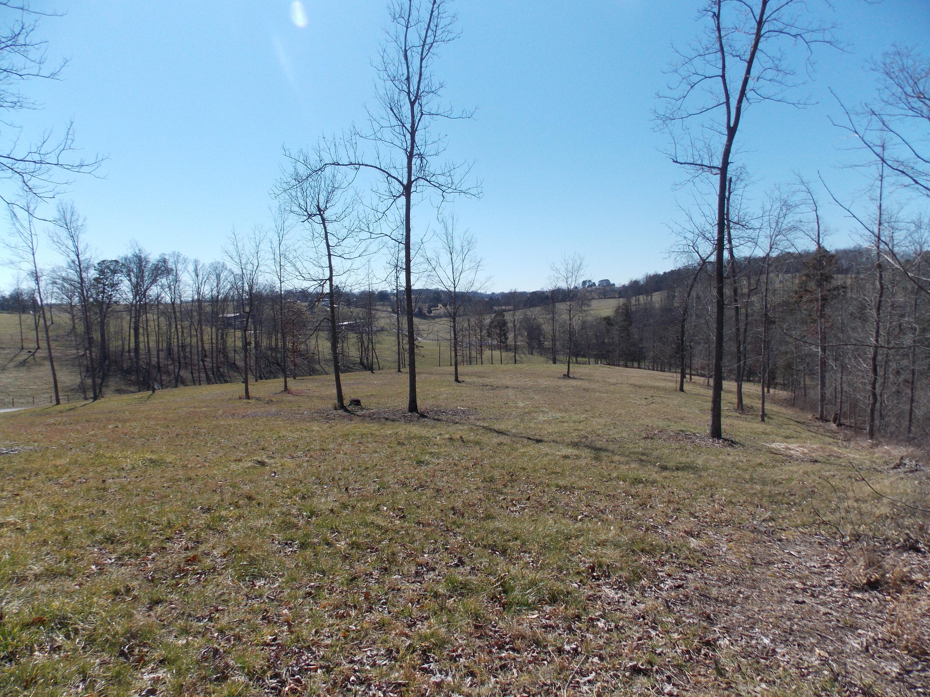 Lakeside Road Madisonville, TN 37354 - Photo 4 of 38 DSCN1603