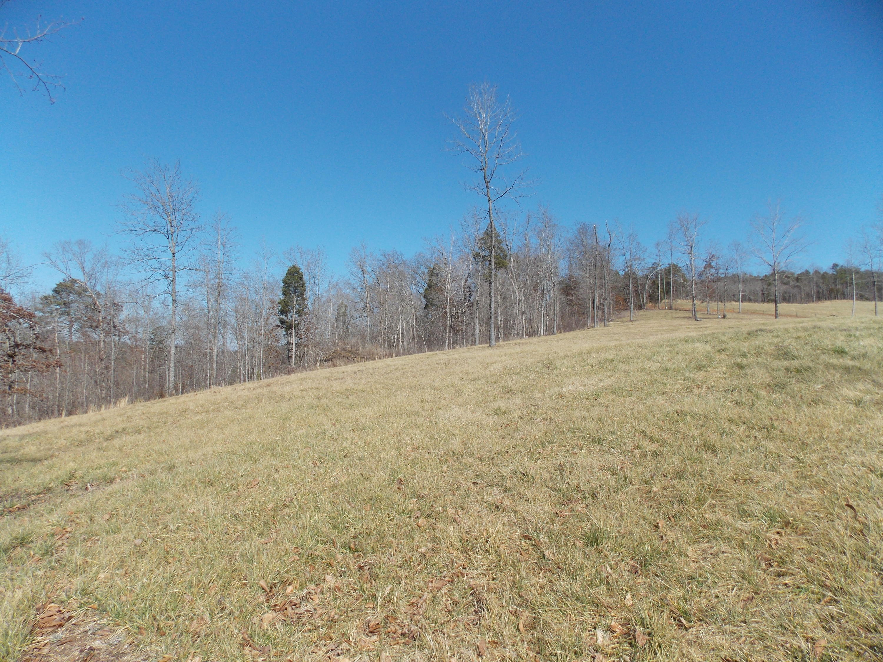 Lakeside Road Madisonville, TN 37354 - Photo 31 of 38 DSCN1612