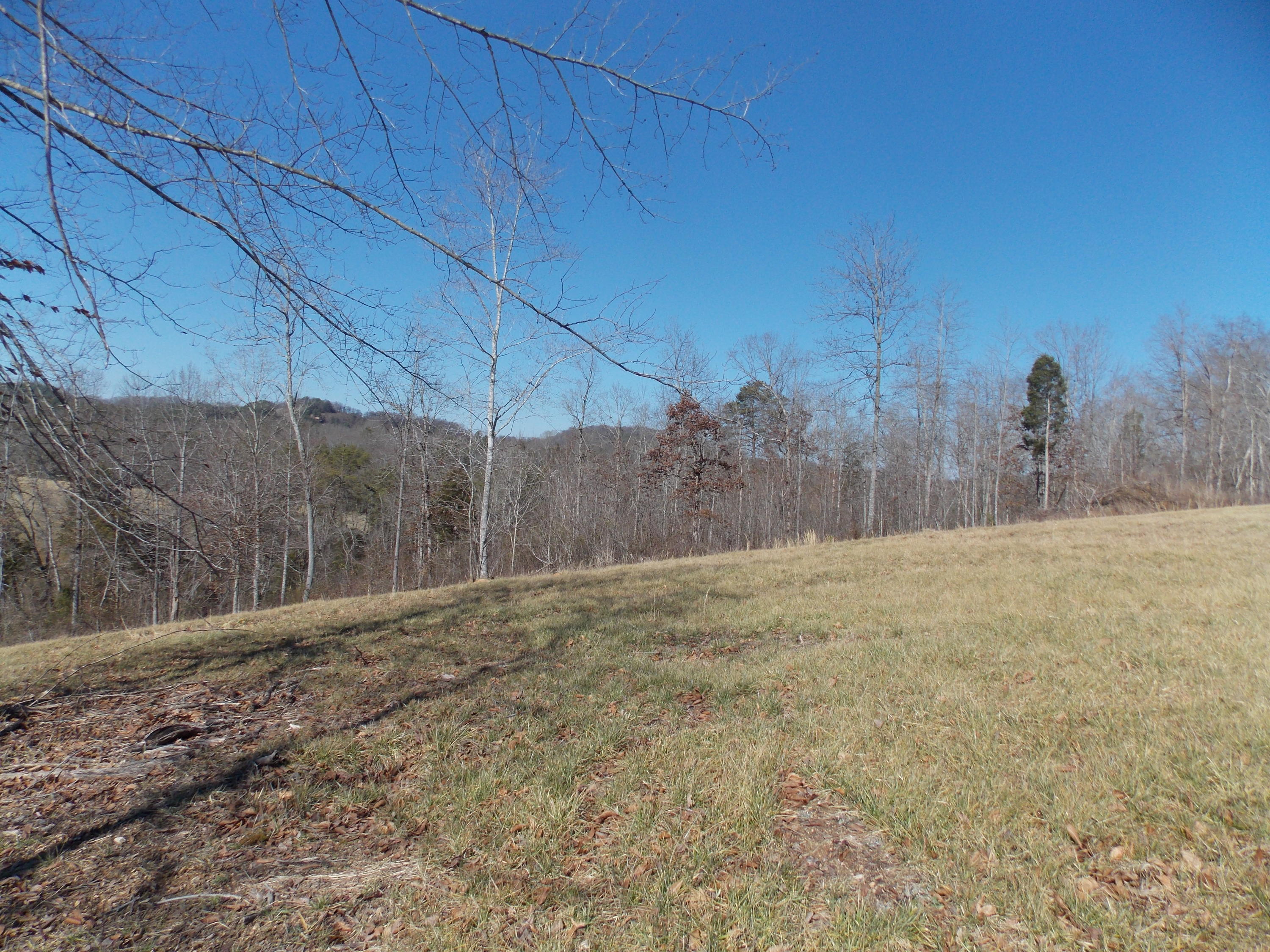 Lakeside Road Madisonville, TN 37354 - Photo 32 of 38 DSCN1613