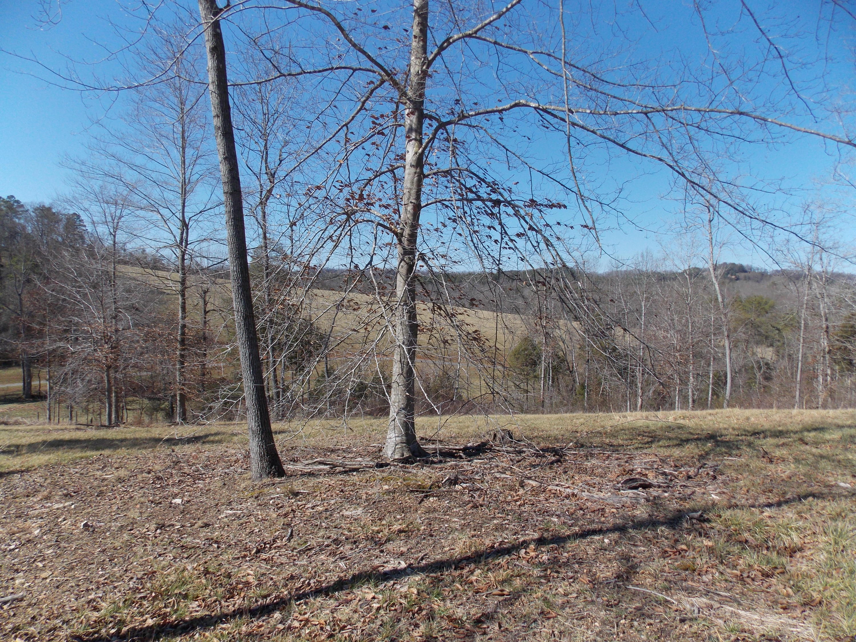 Lakeside Road Madisonville, TN 37354 - Photo 33 of 38 DSCN1614
