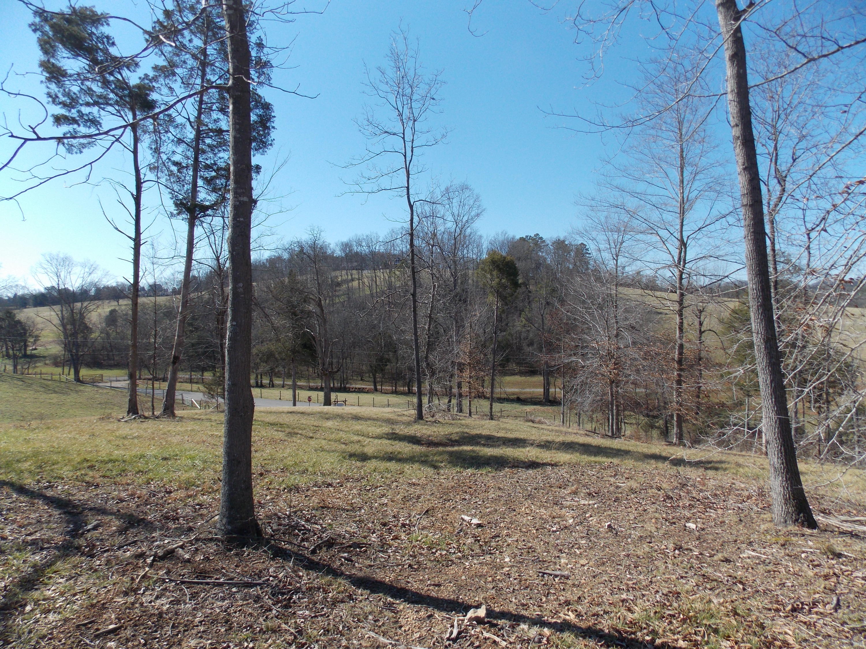 Lakeside Road Madisonville, TN 37354 - Photo 34 of 38 DSCN1615