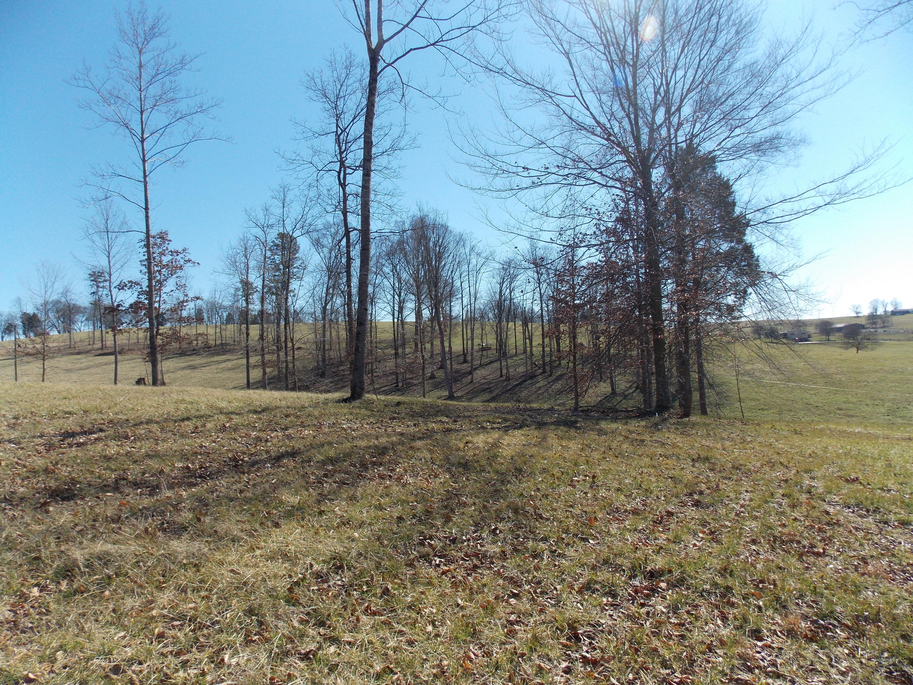 Lakeside Road Madisonville, TN 37354 - Photo 35 of 38 DSCN1617
